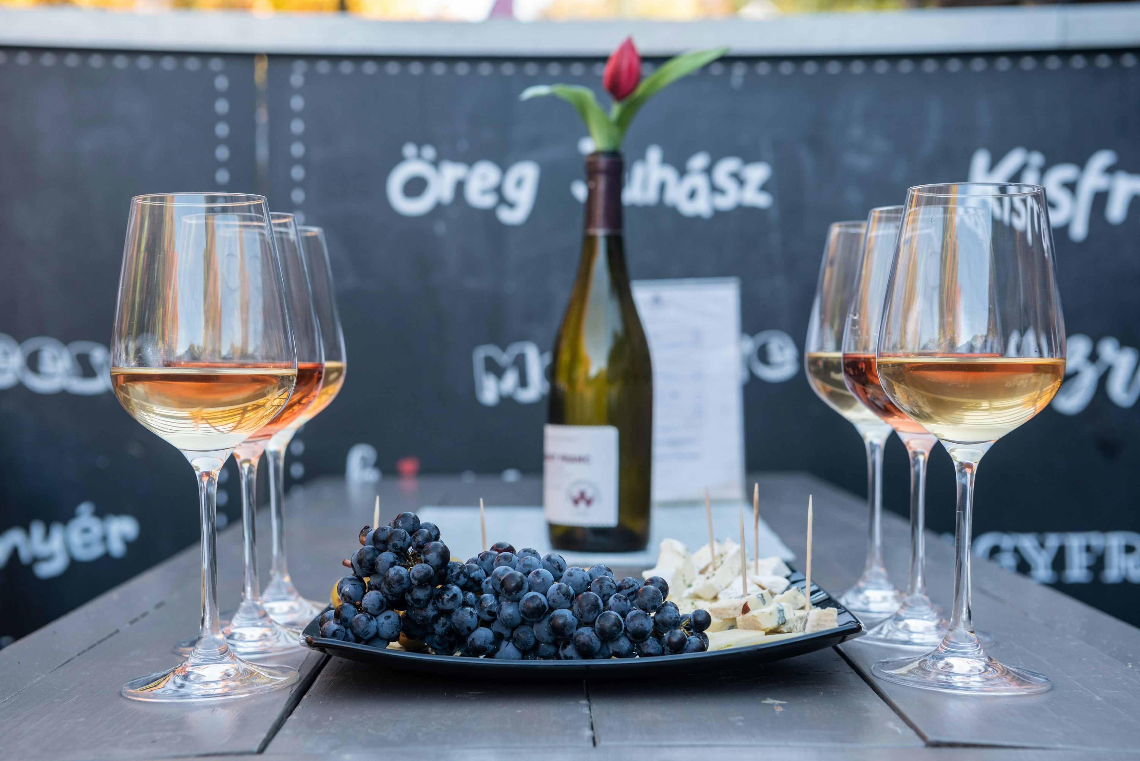 Wine tasting at the Valley of the Beautiful Women in Eger, Hungary. Six glasses of Leanyka and Olaszrizling white and rose wines and a cheese plate with grapes.