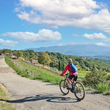 Senior woman riding her electric mountain bike between olive trees near Arezzo, Tuscany.