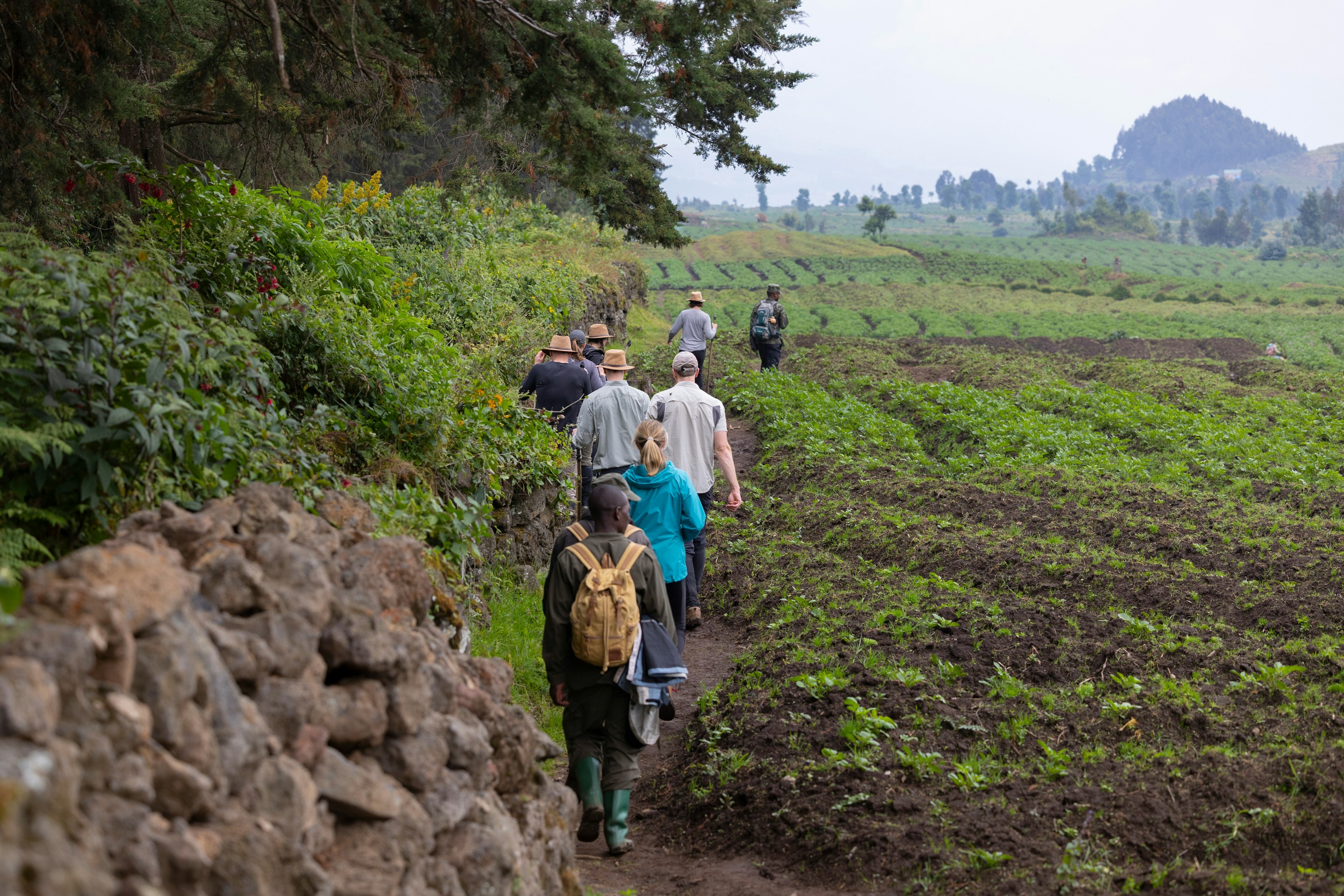 A line of trekkers making their way through a field