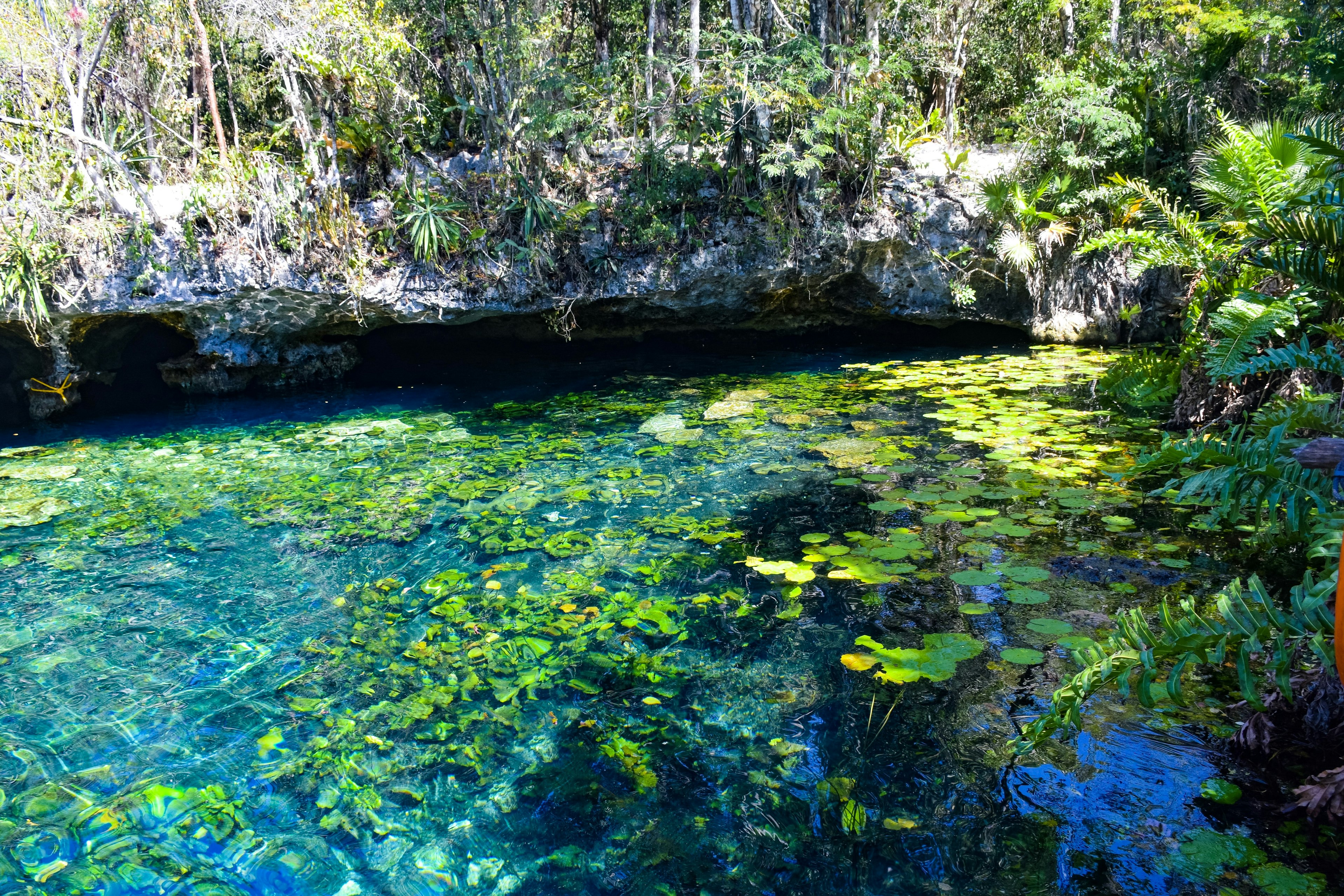 Blue-green waters in a rocky pool, covered with water lilies