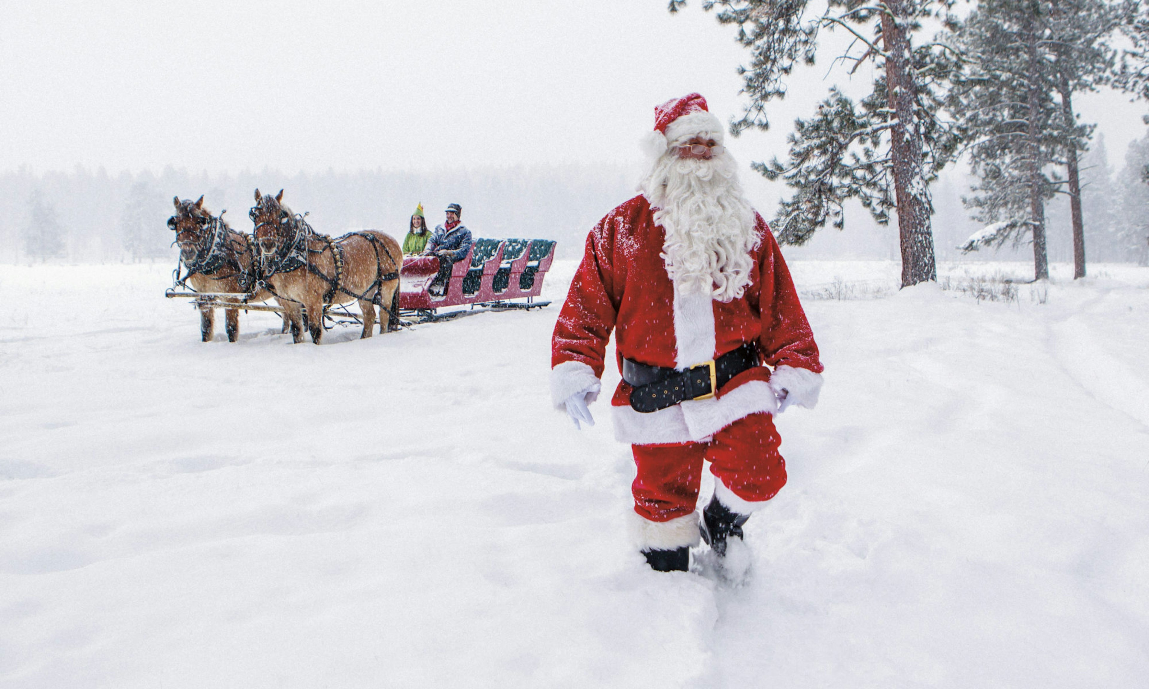 A man dressed in a Father Christmas suit with a long white beard steps through deep snow in front of a horse-drawn carriage