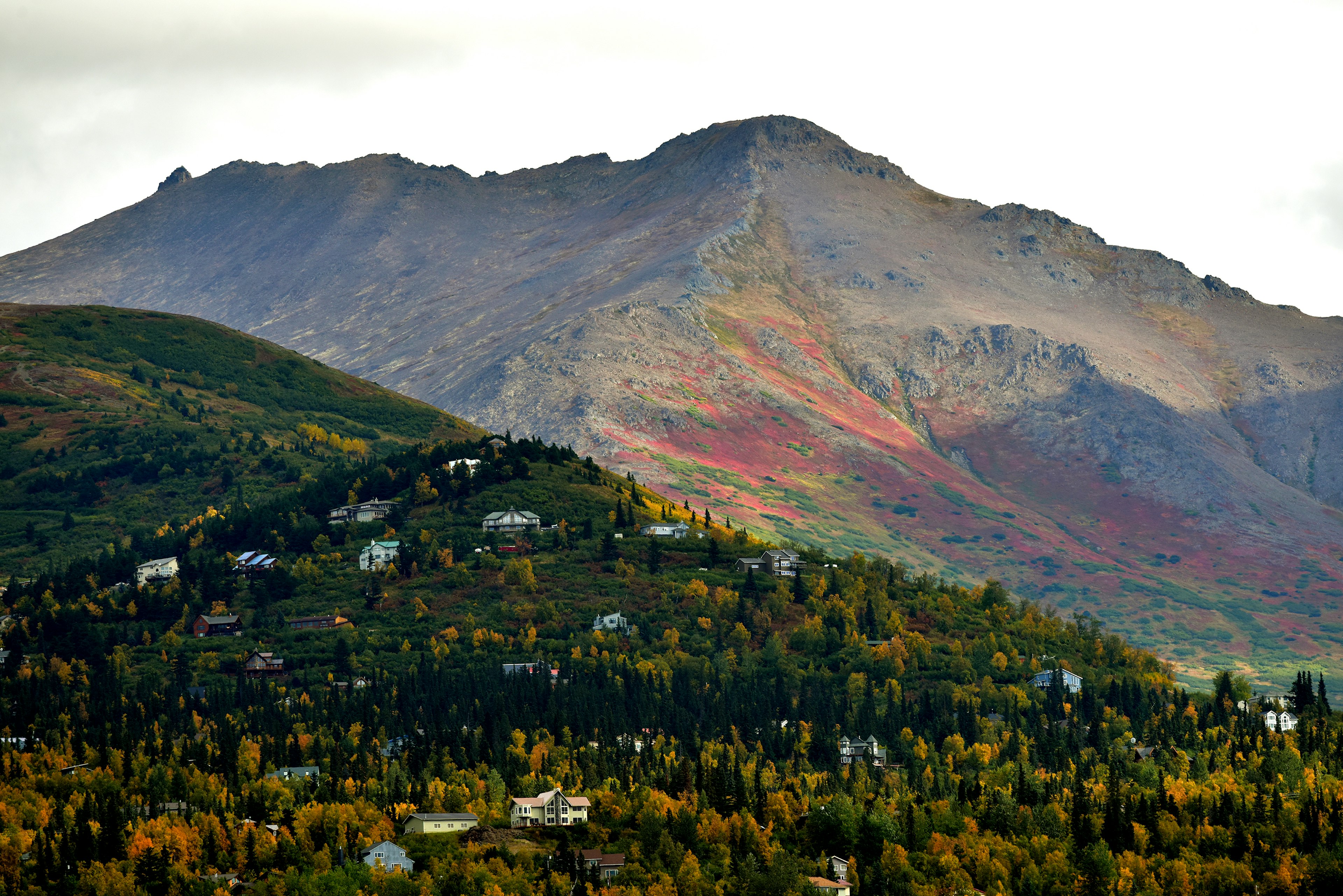 A wide view of large houses on a tree-covered hill with a soaring mountain in the distance