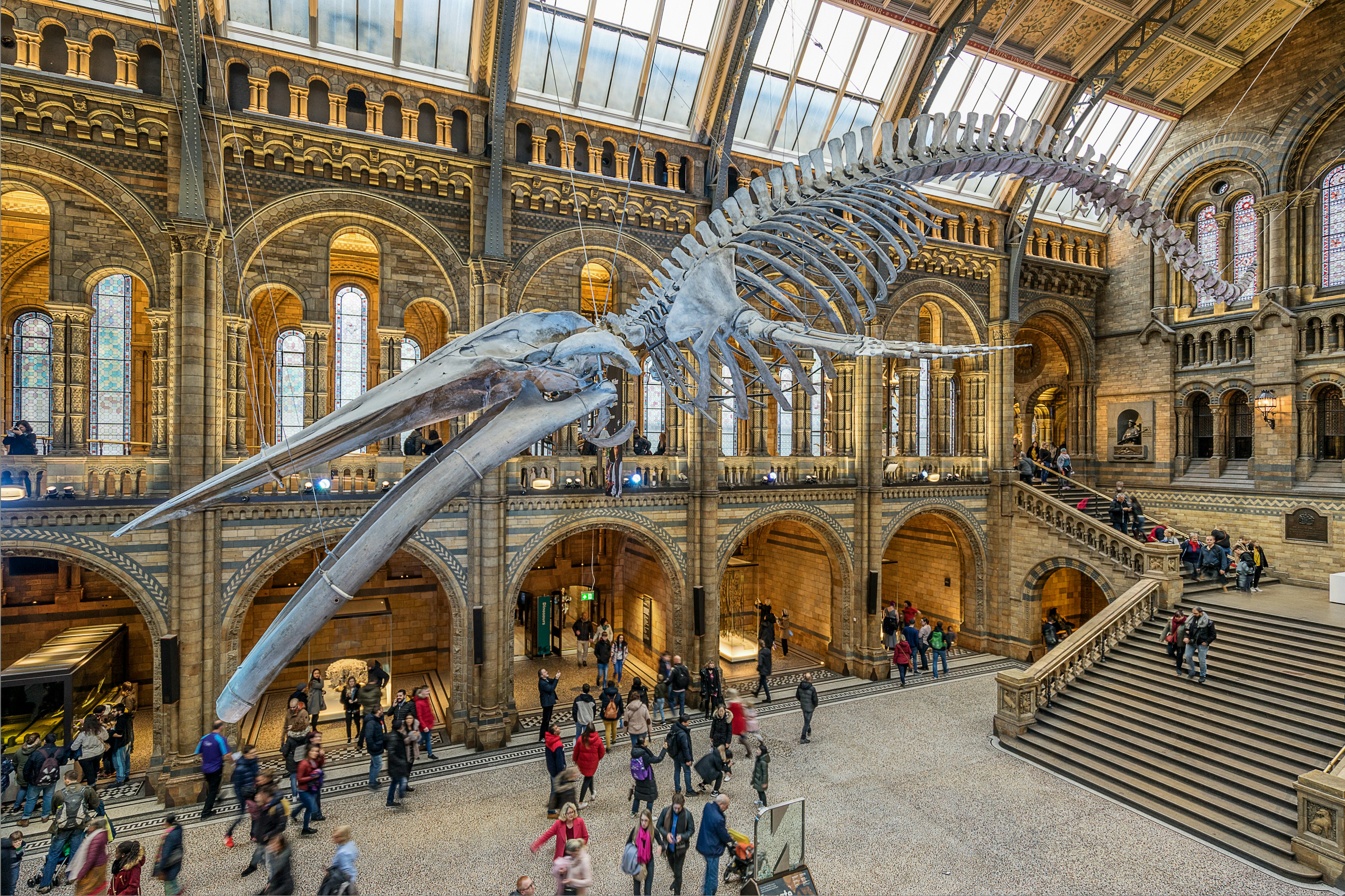 The Natural History museum is home to life and earth science specimens comprising some 80 million items of botany, entomology, mineralogy, paleontology and zoology