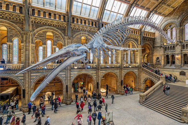 The Natural History museum is home to life and earth science specimens comprising some 80 million items of botany, entomology, mineralogy, paleontology and zoology