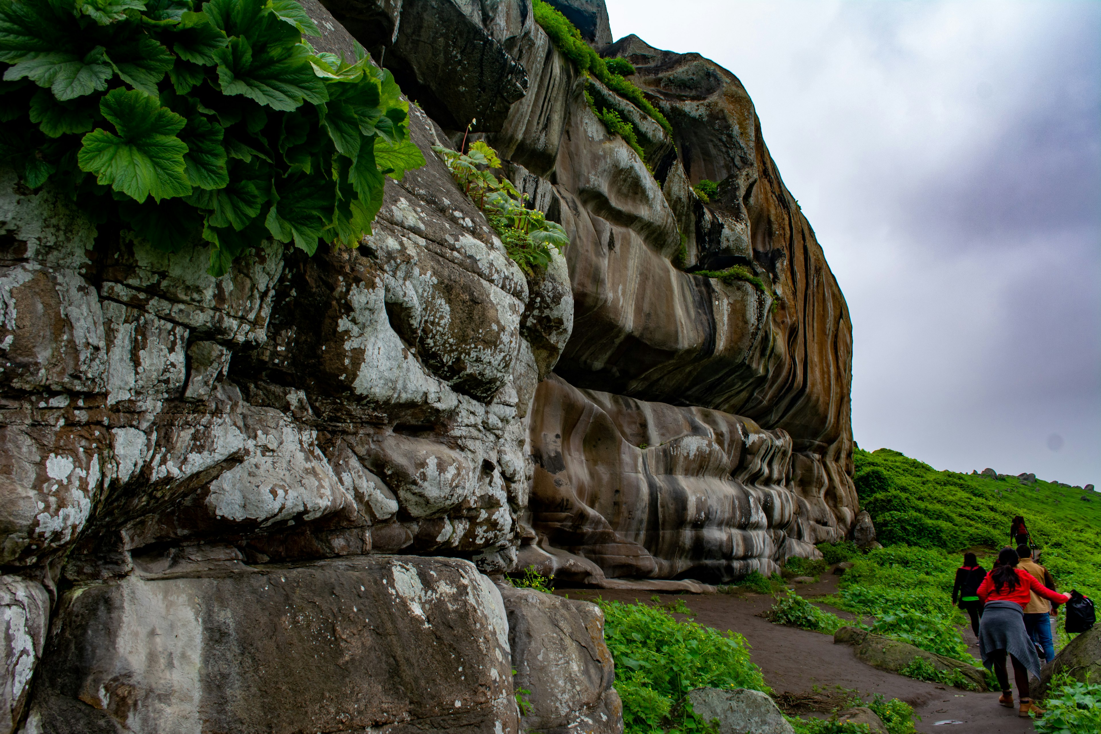 People walk on a path past cliffs in a wet and verdant landscape