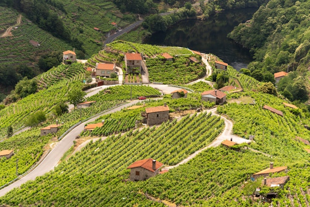 A breathtaking panoramic view of the Miño River flowing through the lush green vineyards of Ribeira Sacra in Chantada, Galicia, Spain