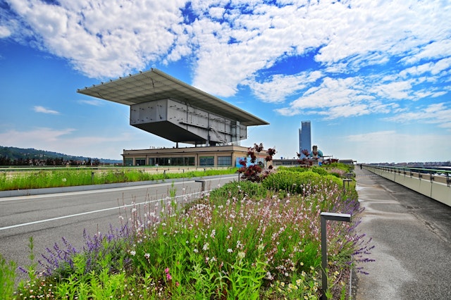Flowers and other plantings on the roof of La Pista 500, the former site of Fiat’s Lingotto factory and test track in Turin, Italy