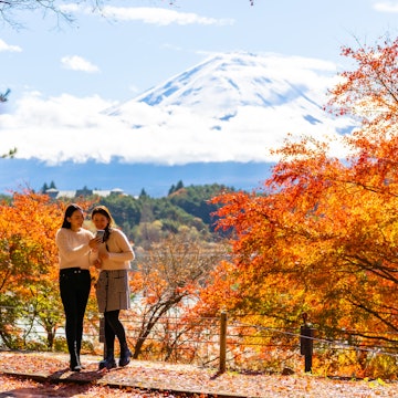 Happy Asian woman travel Japan on holiday vacation. Attractive girl friends using mobile phone taking selfie together while travel Mt.Fuji and looking beautiful red maple tree leaf falling in autumn; Shutterstock ID 2337439793; purchase_order:65050 - Digital Destinations and Articles; job:Online editorial; client:Japan cell connection: Saily ; other:Claire Naylor
2337439793