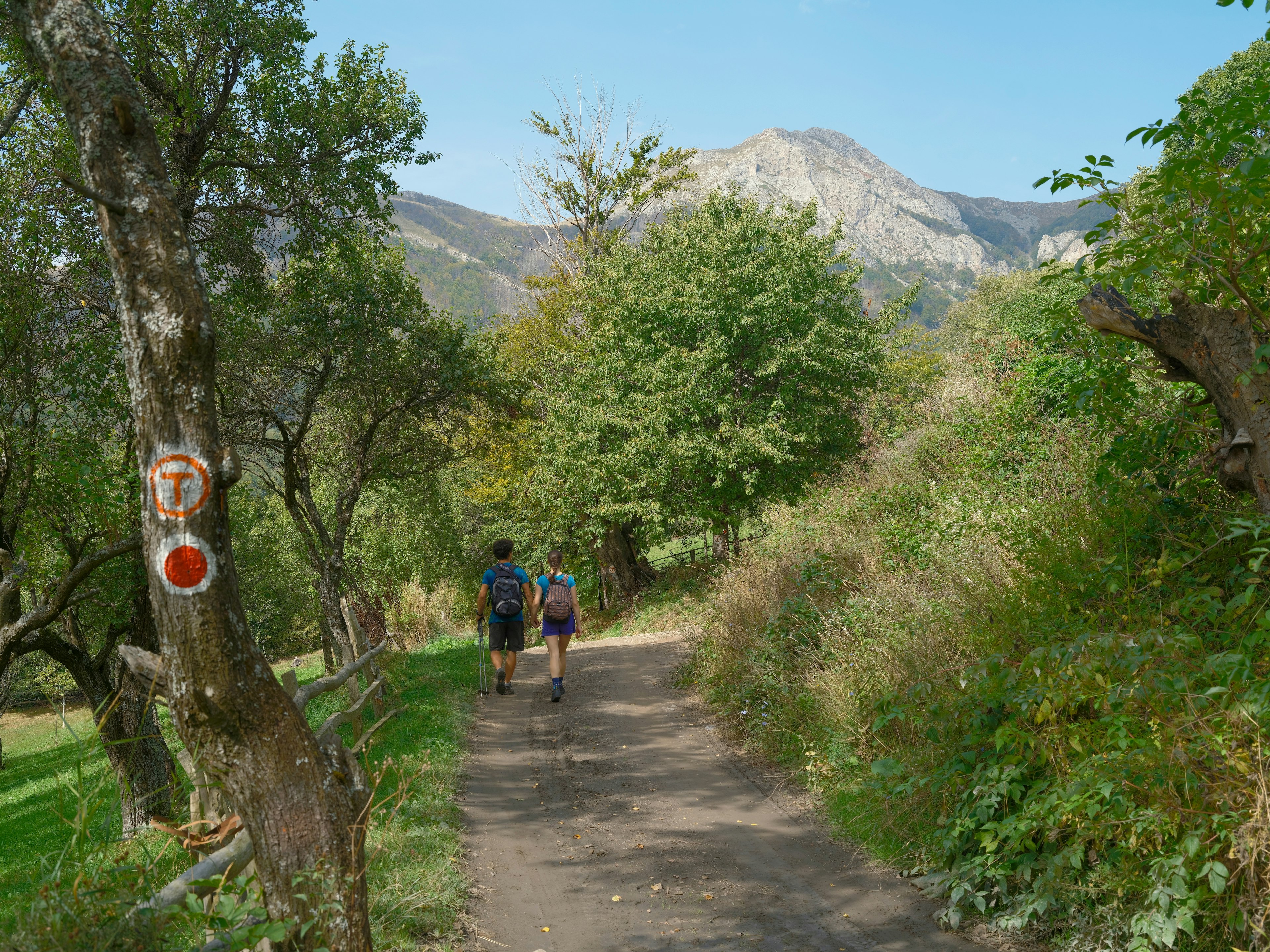 Two hikers walk on a dirt road through a green landscape toward mountains in the distance