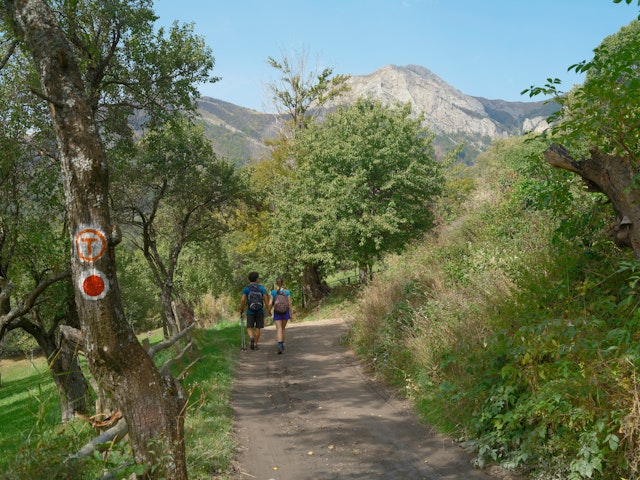 Two hikers walk on a dirt road through a green landscape toward mountains in the distance