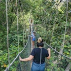 Pahang, Malaysia - May 14, 2024 : Tourists Enjoying Canopy Walkway in Taman Negara National Park's Green Jungle; Shutterstock ID 2472983213; purchase_order: 65050 - Digital Destinations and Articles; job: Lonely Planet Online Editorial; client: Outdoor adventures in Malaysia; other: Brian Healy
2472983213
adventure, asia, asian, background, bridge, canopy, climb, environment, extreme, forest, fun, green, high, hike, hiking, jungle, kuala, kuala tahan, landscape, malaysia, national, national park, natural, nature, negara, outdoor, outdoors, pahang, park, path, pathway, people, runway, skyway, sport, tahan, taman, taman negara, tourism, tourist, travel, tree, trees, trekking, walk, walkway, wild, wilderness, wood, woods
Tourists Enjoying Canopy Walkway in Taman Negara National Park's Green Jungle