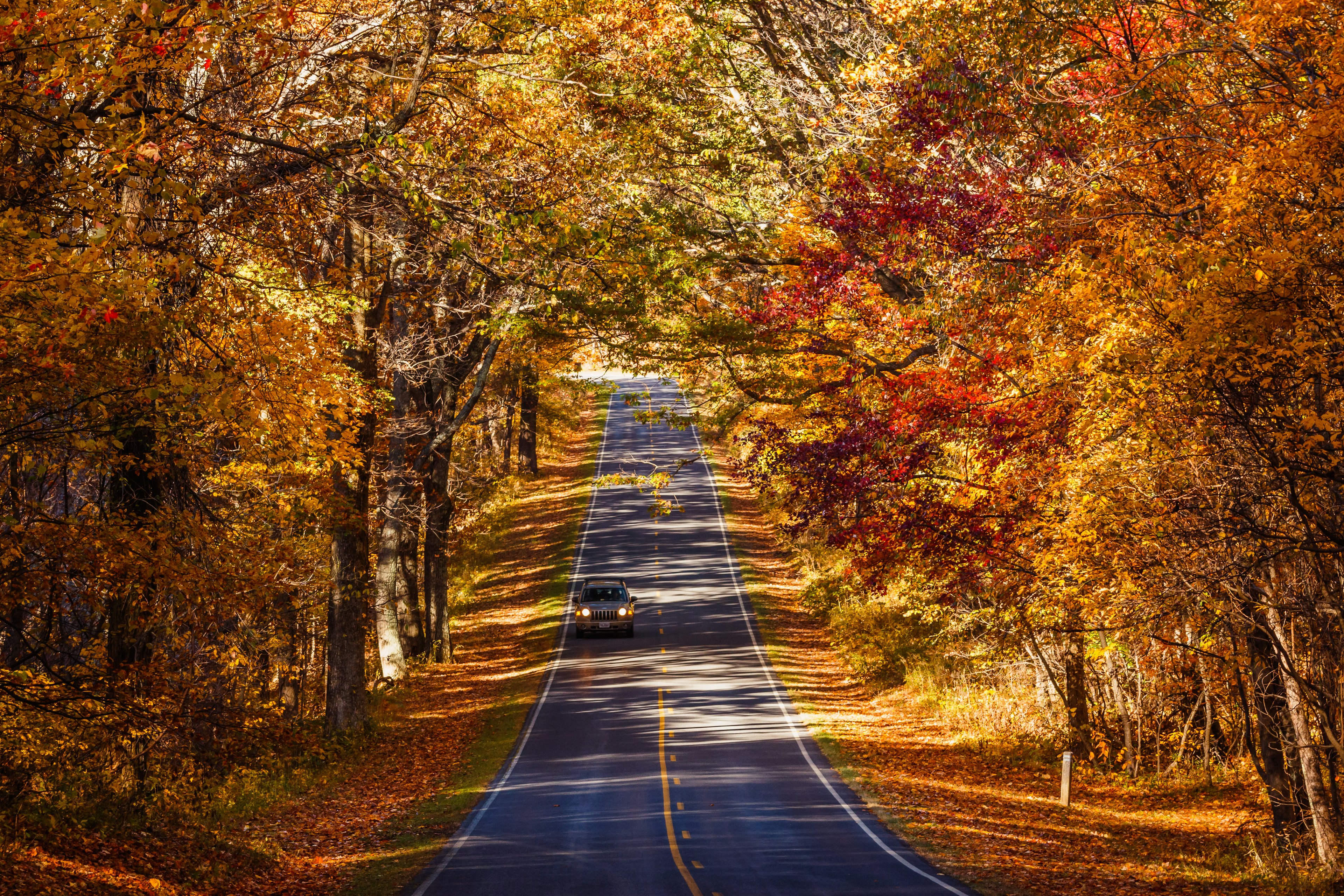 Fall Season at Skyline Drive. Shenandoah National Park