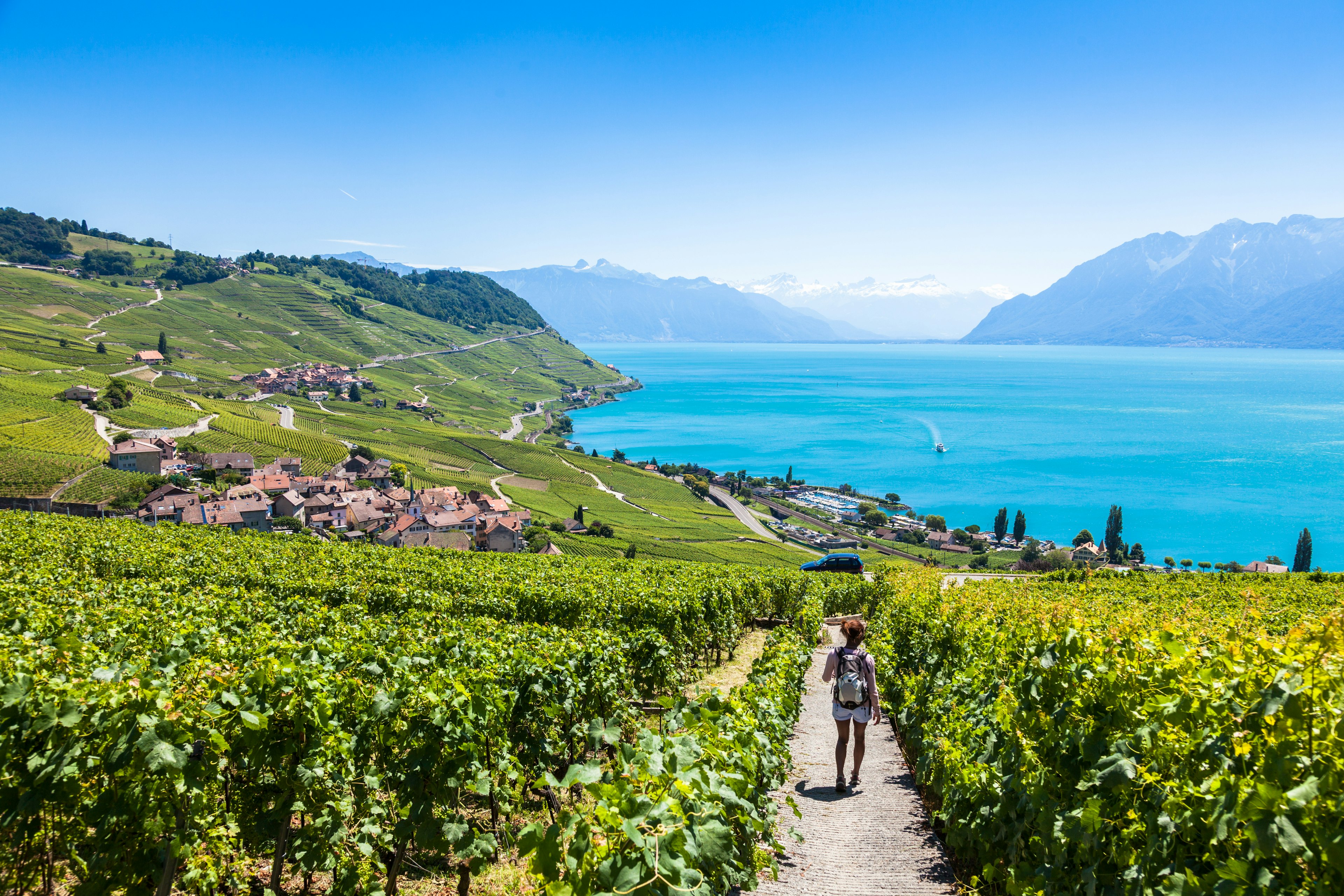 A woman walks down a path through vineyards on a steep hillside with a lake and mountains in the distance