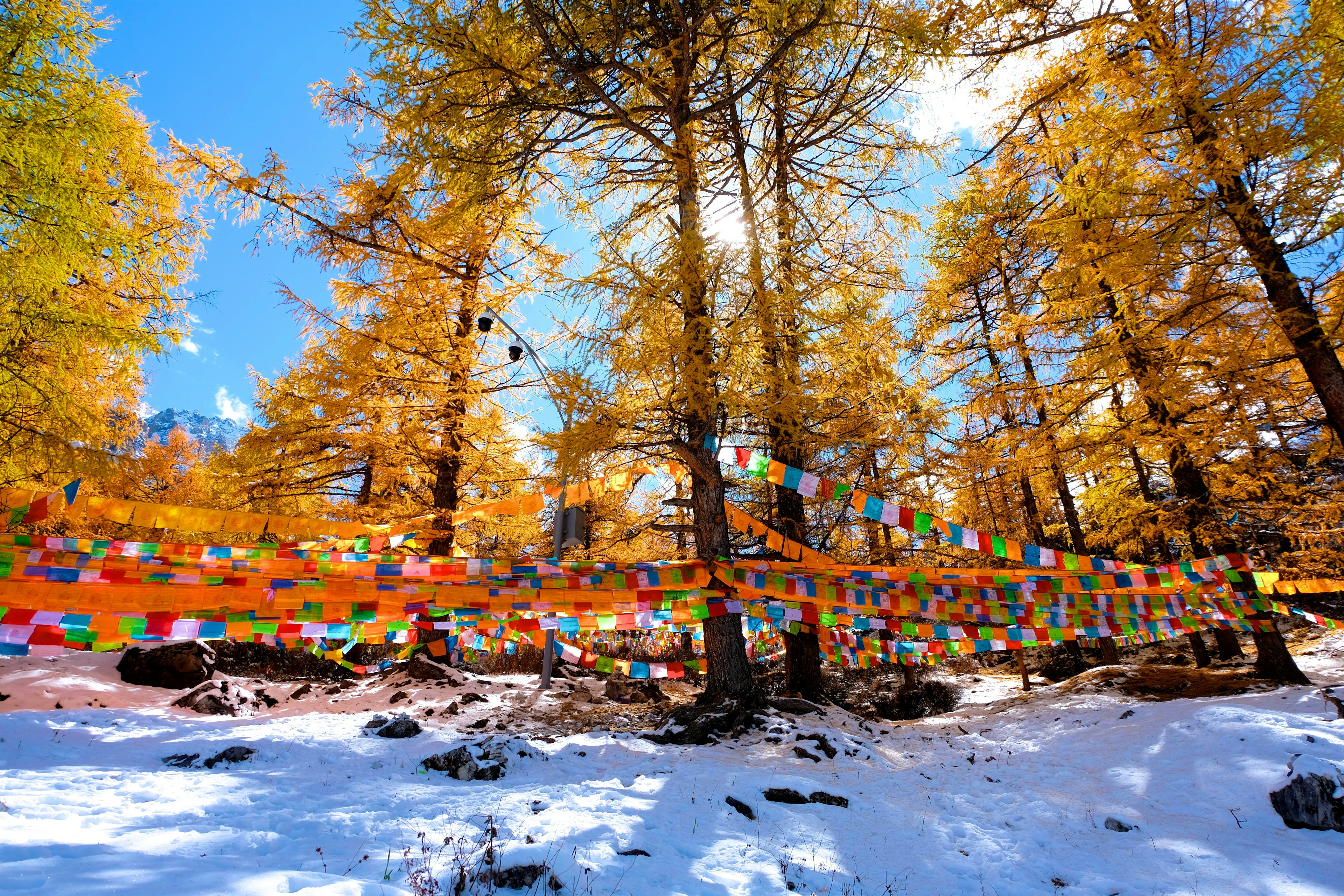 Holy snow mountain and Autumn scenery at Yading national reserve in Daocheng County.