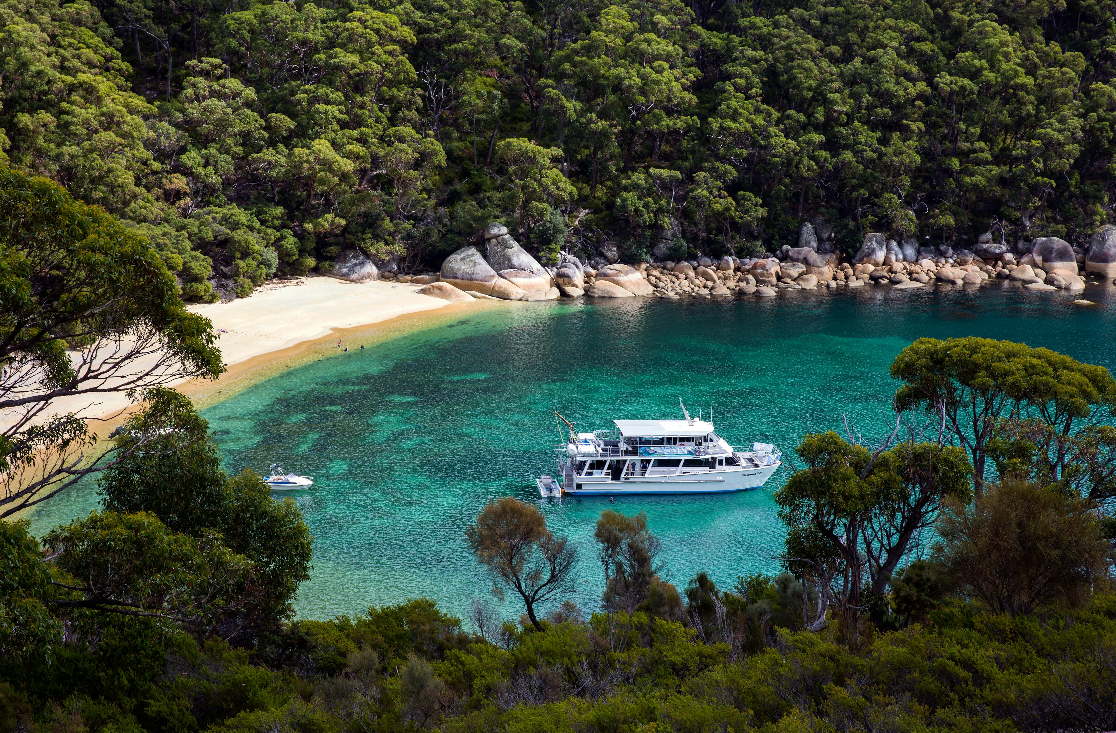 An aerial shot of Refuge Cove: a white passenger boat bobs in turquoise water next to a thin strip of white sand that is surrounded by dense forest