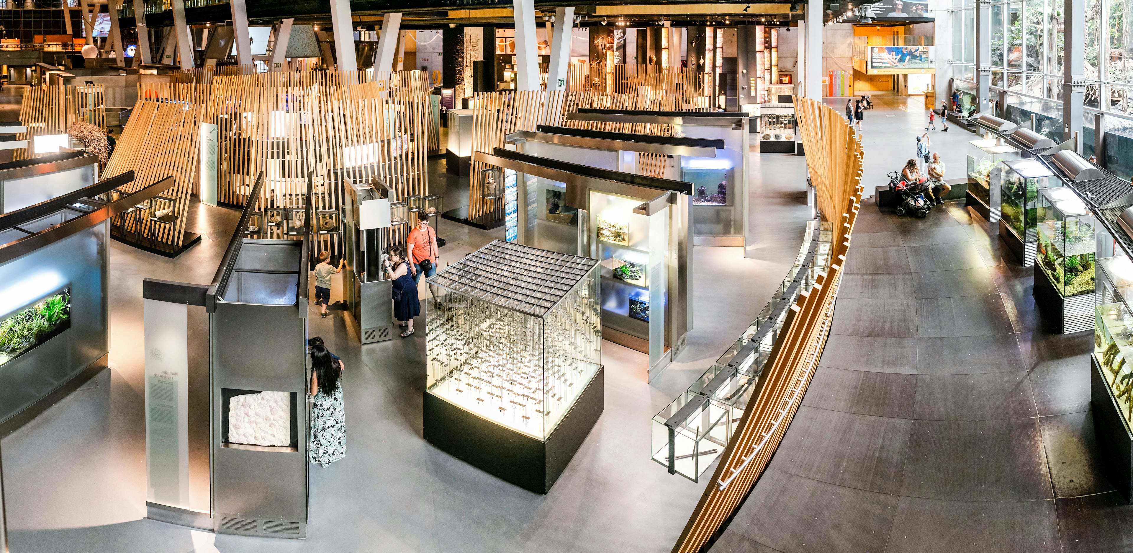 Several free-standing displays with people moving between them at the CosmoCaixa museum