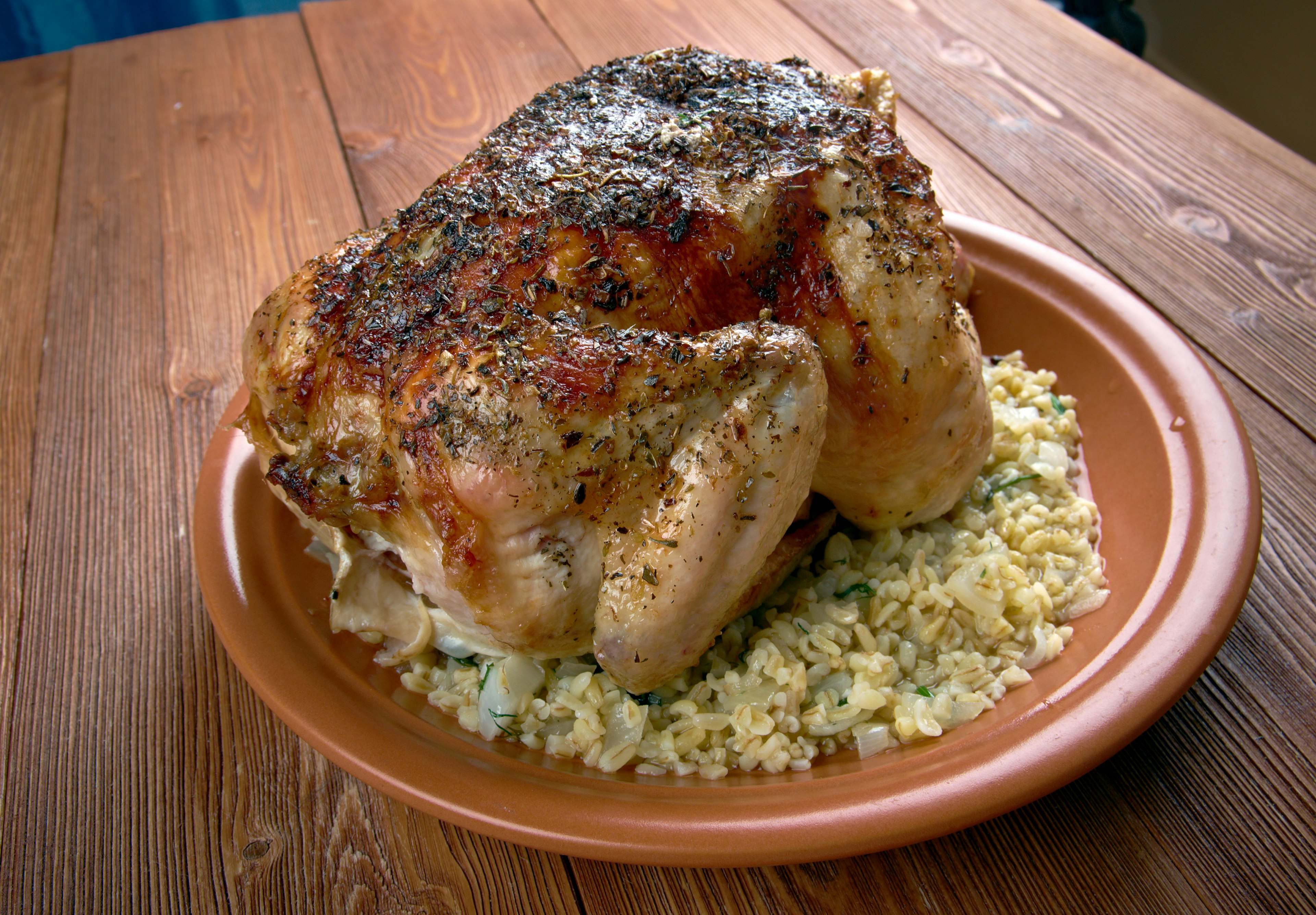 Plate of hamam mahshi, Egyptian braised squab stuffed with cracked wheat