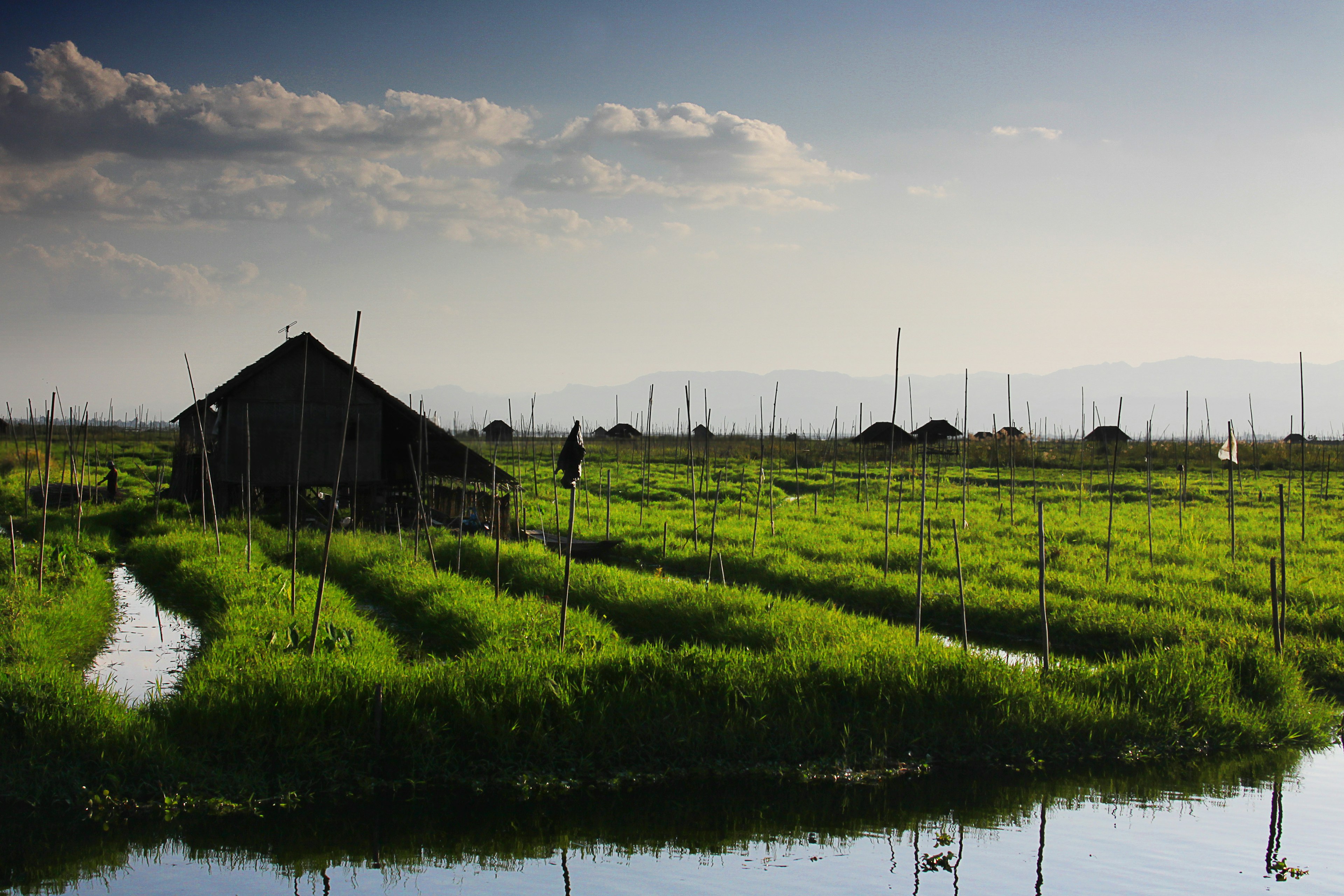 Famous floating gardens on the Inle Lake, Myanmar