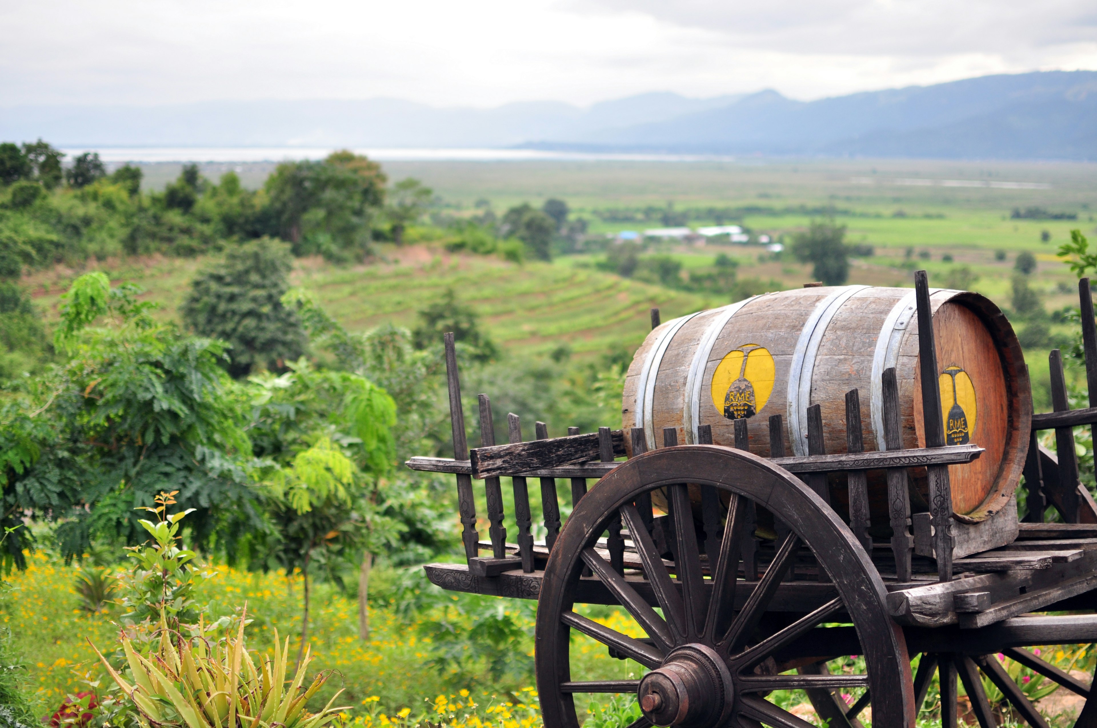 View from Red Mountain Estate Winery, with a wagon in the foreground.