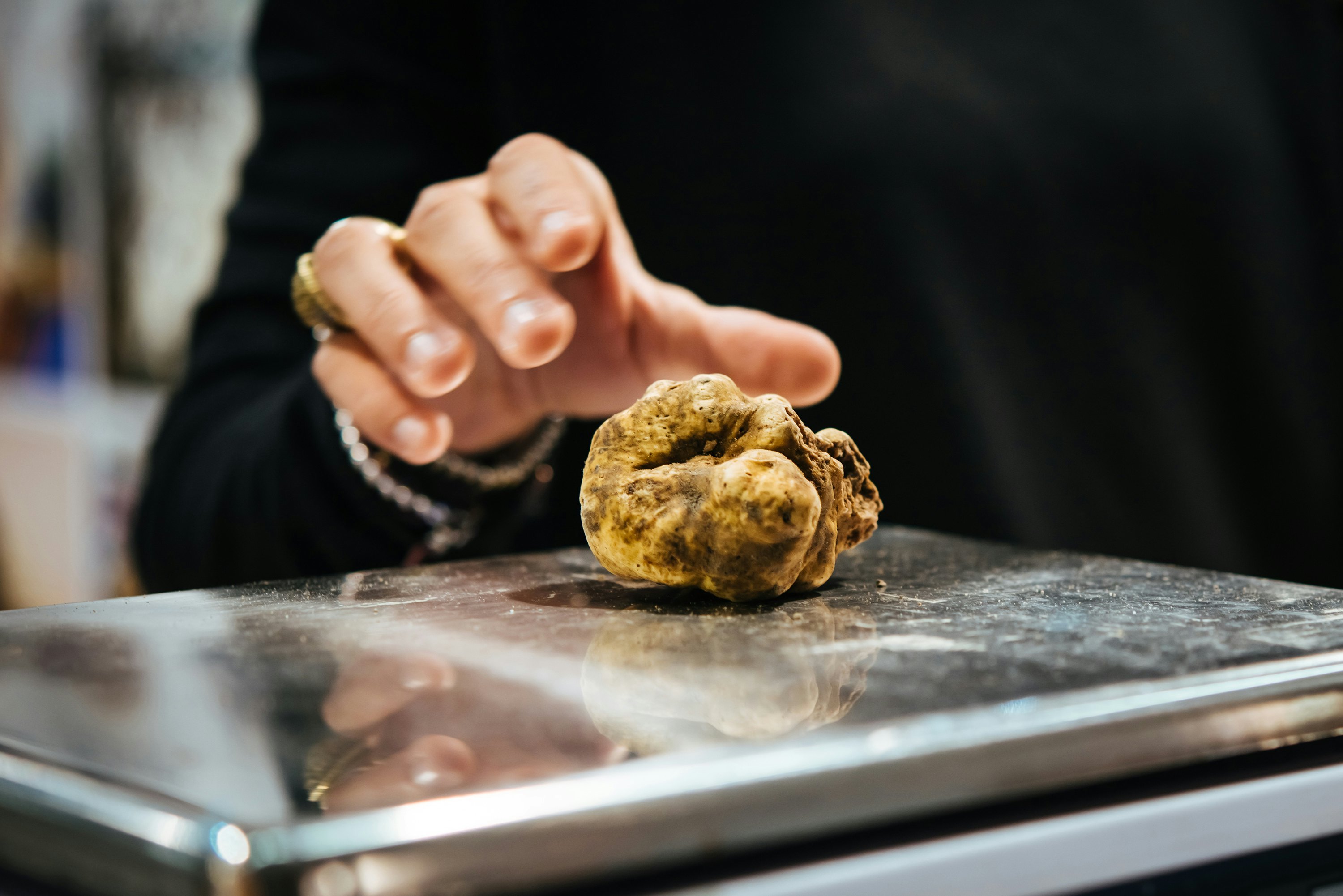 White truffles being weighed at a truffle fair in Alba.