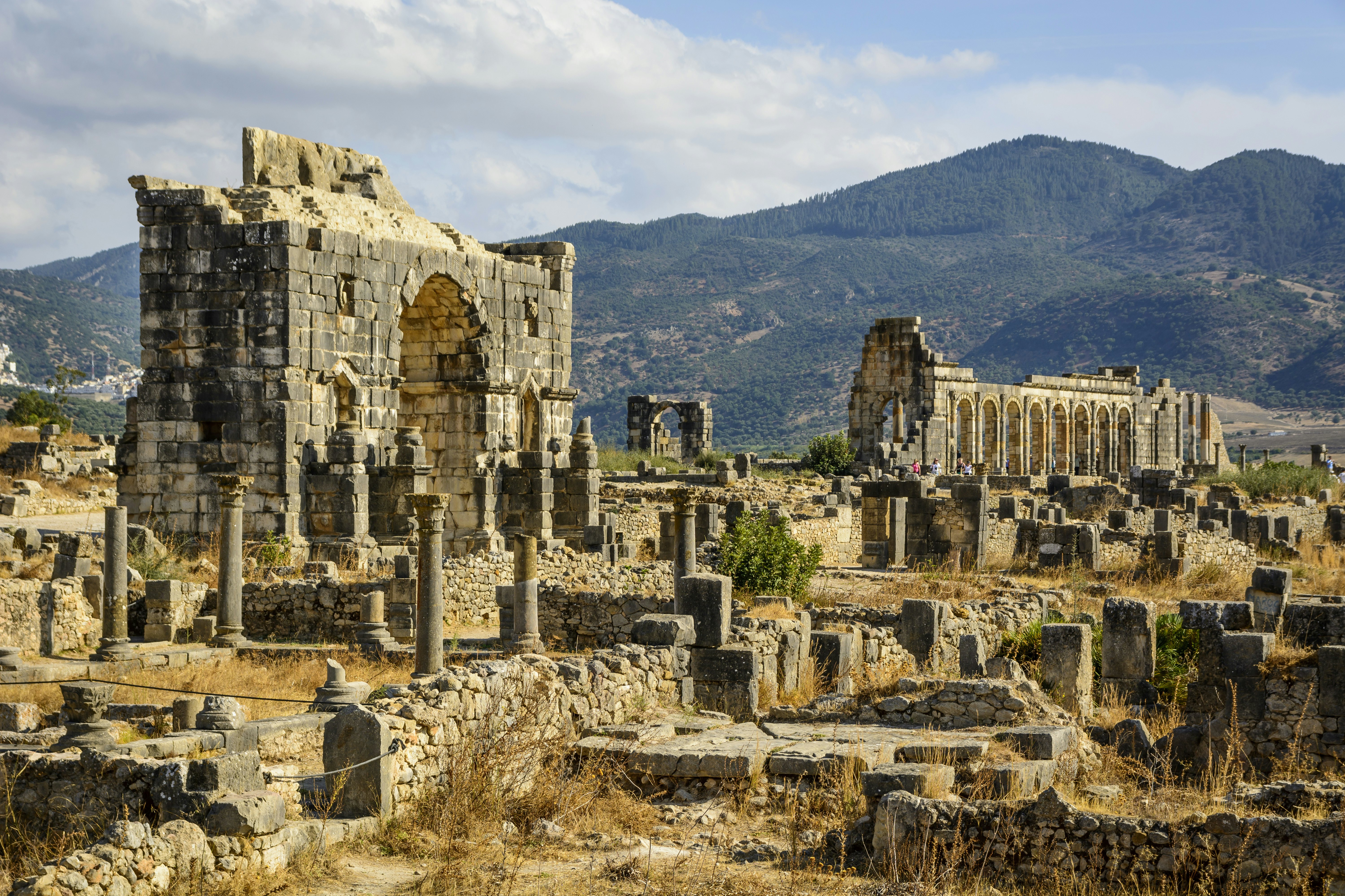 Volubilis - partly excavated Roman city near Meknes, Morocco, with mountains in the background