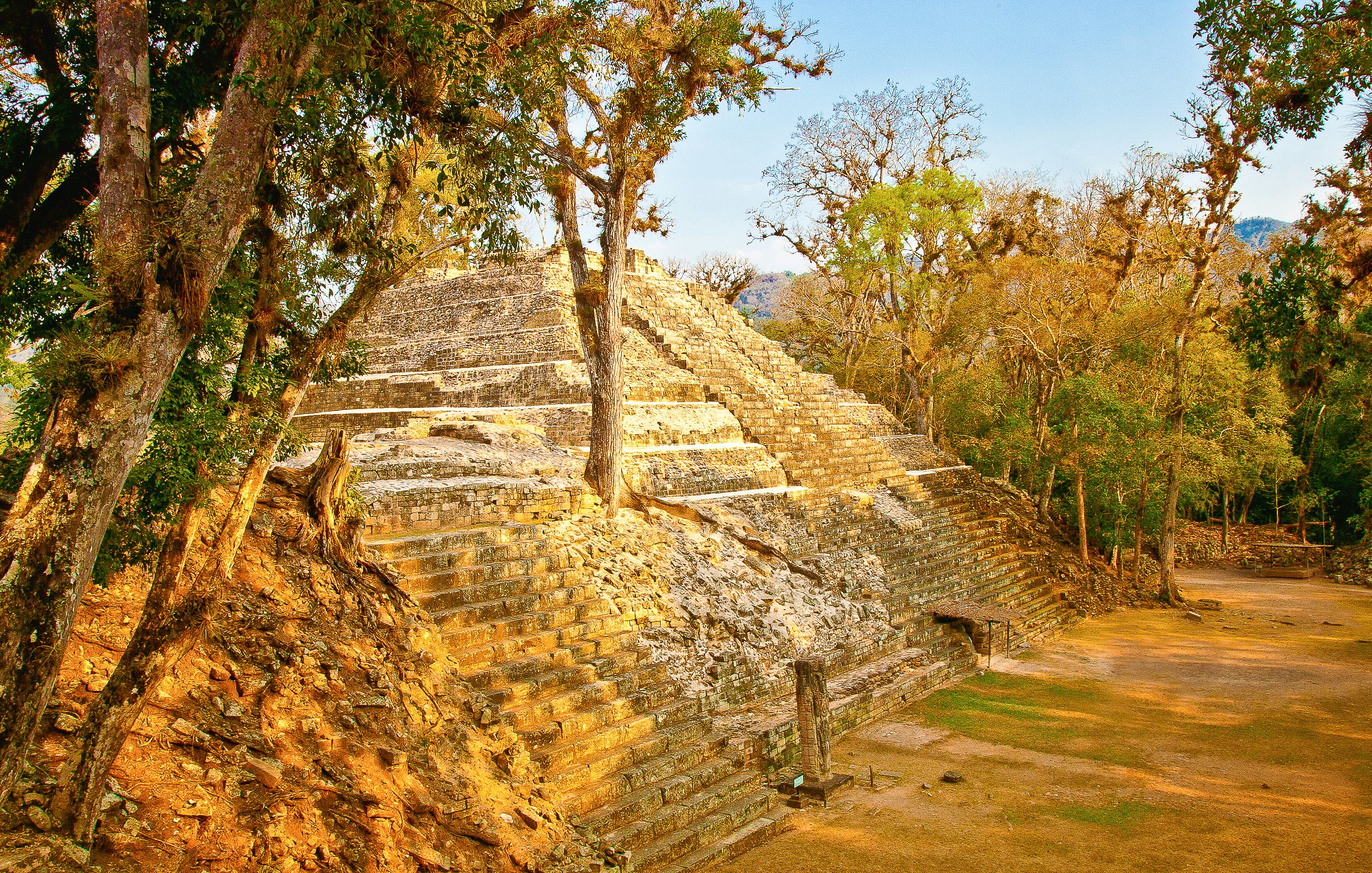 A stepped pyramid in jungle