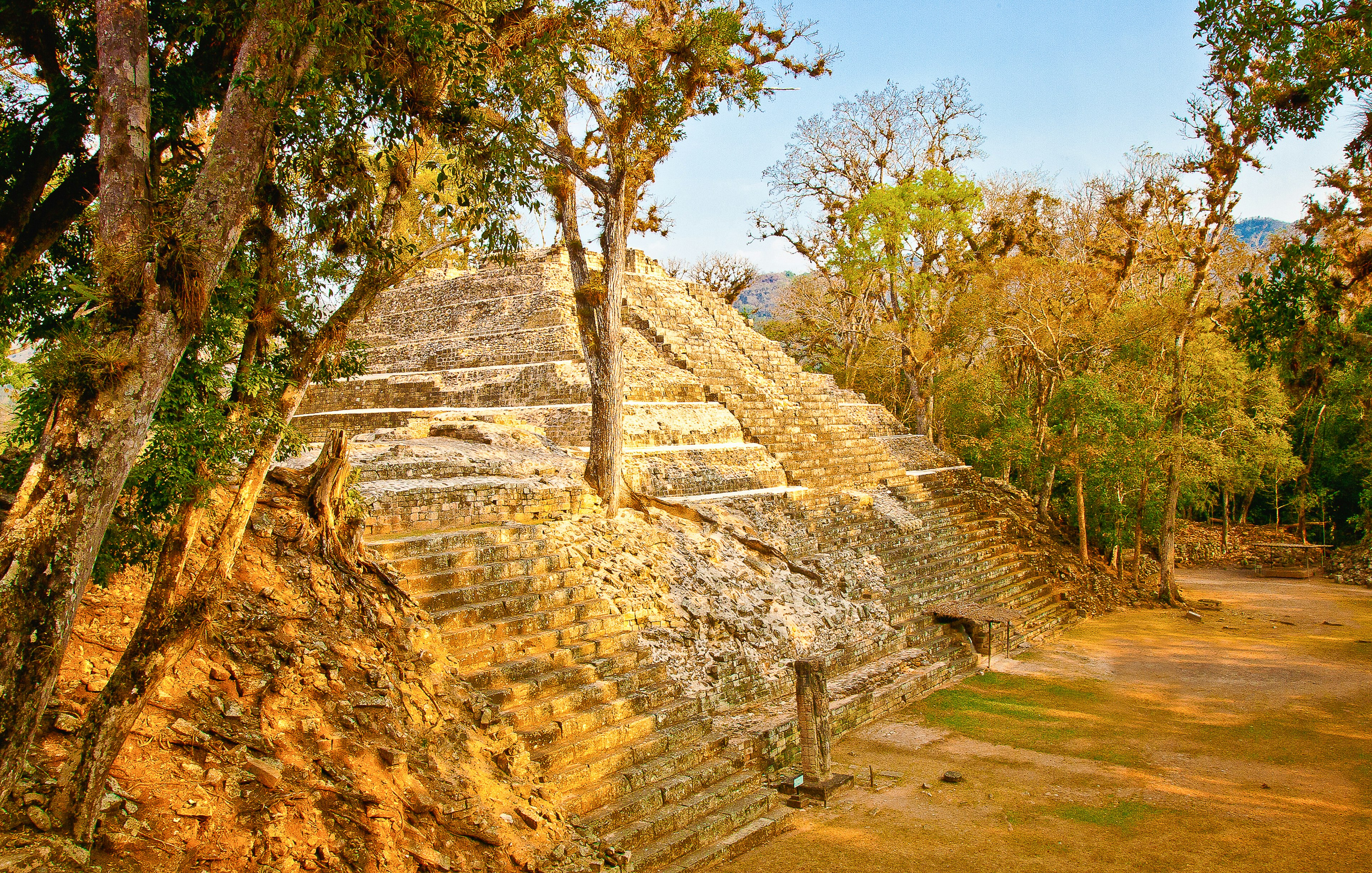 A stepped pyramid in jungle