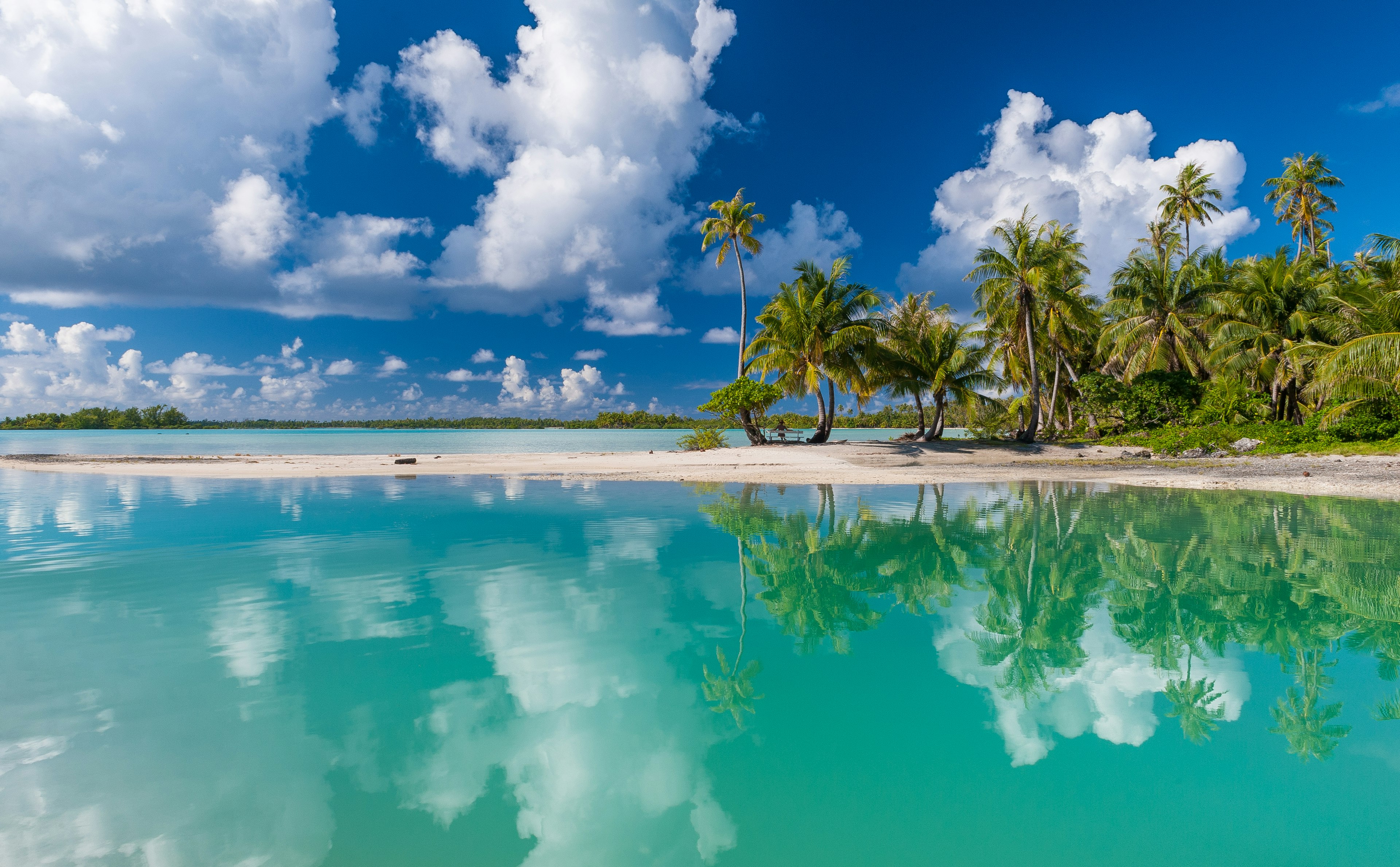 Palm trees reflected in a lagoon with a white-sand spit