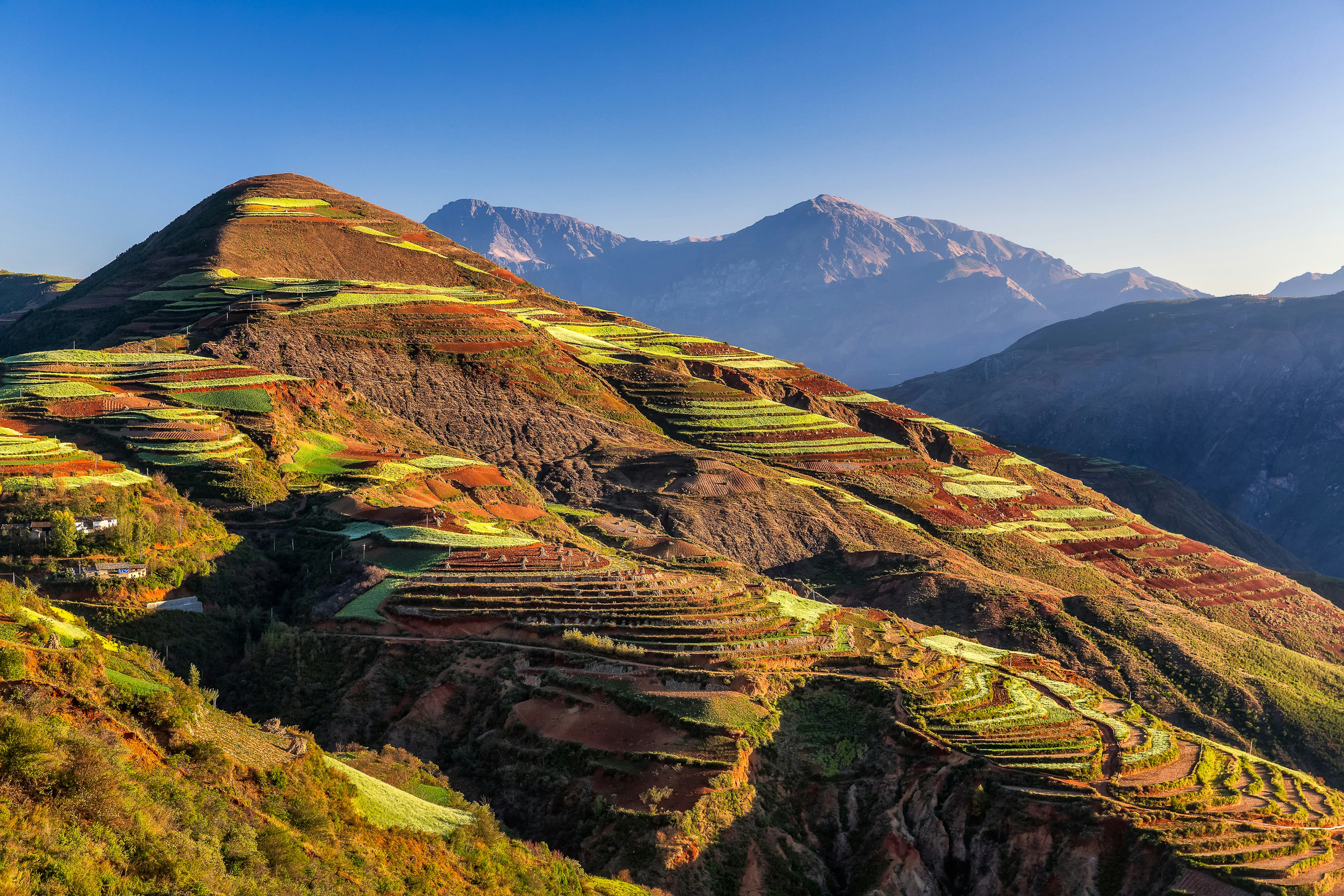 Flat rice terraces built into the side of a hilside in a mountainous area