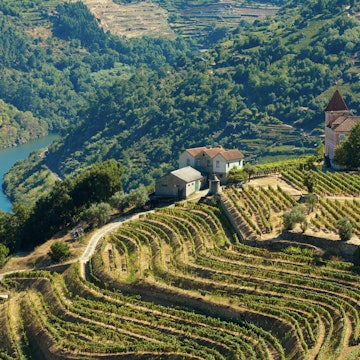 The Douro, Portugal - August 15, 2011: Image captured from the road some kilometers to the west of Oporto, the image shows the Douro river and his vinyards.
133889384
Getty, RFC, Travel, Landscaped, Scenics, Vineyard, Growth, Idyllic, Cultures, Agriculture, Outdoors, Horizontal, Portugal, Europe, Grape, Day, Mountain, Hill, Valley, Field, Landscape, River, Farm, Beauty In Nature, Color Image, Douro River, Douro Valley, High Angle View, Mediterranean Culture, No People, Physical Geography, Portuguese Culture, Rural Scene, Terraced Field, The Douro, Tranquil Scene, Aerial View, Architecture, Building, Countryside, Farm, Nature, Outdoors, Rural
Image captured from the road some kilometers to the west of Oporto, the image shows the Douro river and his vinyards.