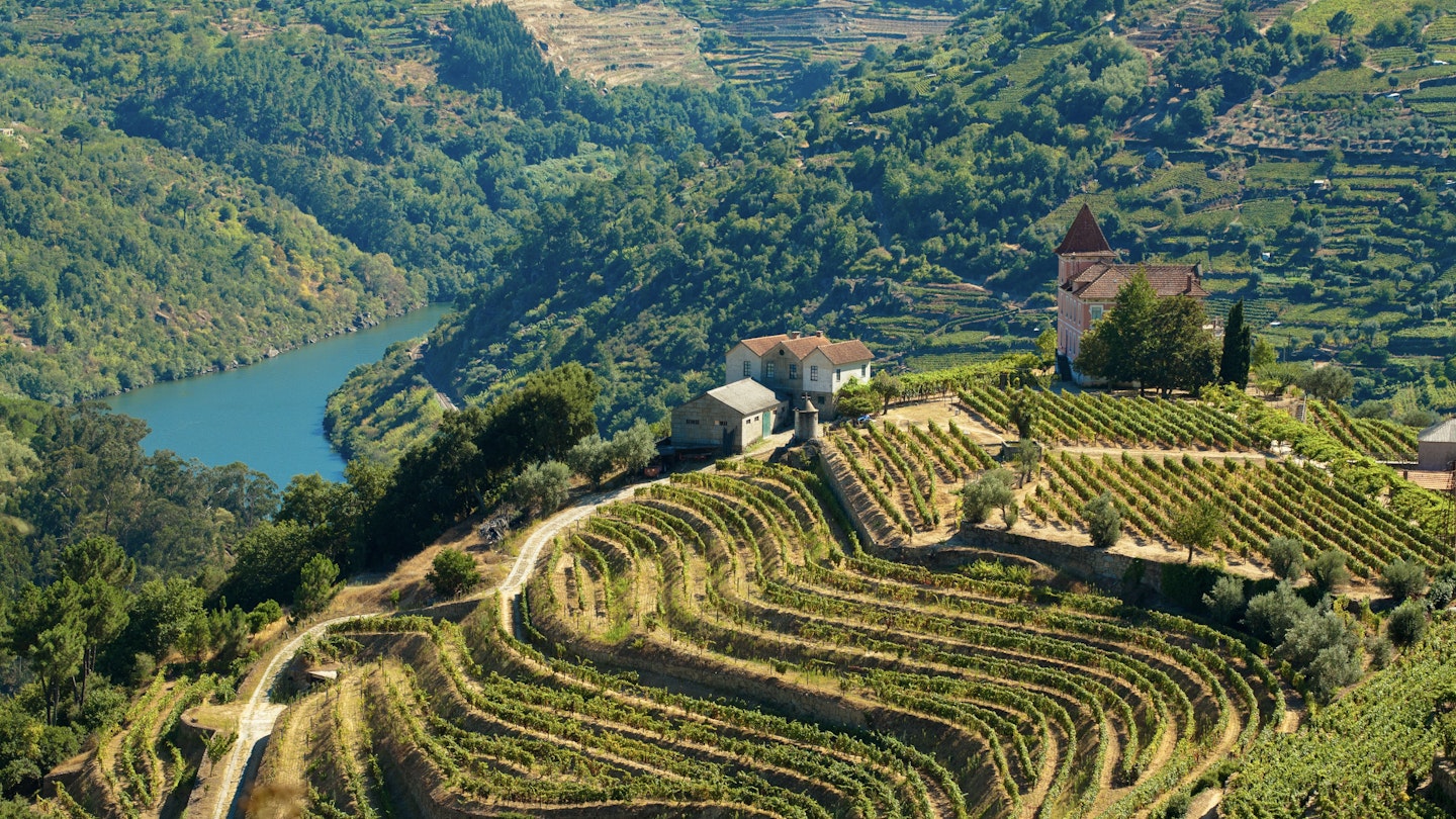 The Douro, Portugal - August 15, 2011: Image captured from the road some kilometers to the west of Oporto, the image shows the Douro river and his vinyards.
133889384
Getty,  RFC,  Travel,  Landscaped,  Scenics,  Vineyard,  Growth,  Idyllic,  Cultures,  Agriculture,  Outdoors,  Horizontal,  Portugal,  Europe,  Grape,  Day,  Mountain,  Hill,  Valley,  Field,  Landscape,  River,  Farm,  Beauty In Nature,  Color Image,  Douro River,  Douro Valley,  High Angle View,  Mediterranean Culture,  No People,  Physical Geography,  Portuguese Culture,  Rural Scene,  Terraced Field,  The Douro,  Tranquil Scene,  Aerial View,  Architecture,  Building,  Countryside,  Farm,  Nature,  Outdoors,  Rural
Image captured from the road some kilometers to the west of Oporto, the image shows the Douro river and his vinyards.