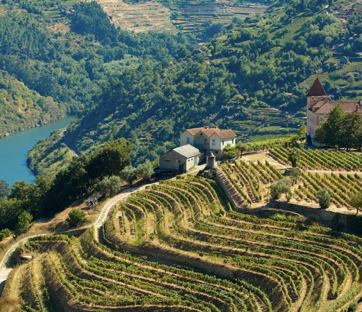 The Douro, Portugal - August 15, 2011: Image captured from the road some kilometers to the west of Oporto, the image shows the Douro river and his vinyards.
133889384
Getty,  RFC,  Travel,  Landscaped,  Scenics,  Vineyard,  Growth,  Idyllic,  Cultures,  Agriculture,  Outdoors,  Horizontal,  Portugal,  Europe,  Grape,  Day,  Mountain,  Hill,  Valley,  Field,  Landscape,  River,  Farm,  Beauty In Nature,  Color Image,  Douro River,  Douro Valley,  High Angle View,  Mediterranean Culture,  No People,  Physical Geography,  Portuguese Culture,  Rural Scene,  Terraced Field,  The Douro,  Tranquil Scene,  Aerial View,  Architecture,  Building,  Countryside,  Farm,  Nature,  Outdoors,  Rural
Image captured from the road some kilometers to the west of Oporto, the image shows the Douro river and his vinyards.