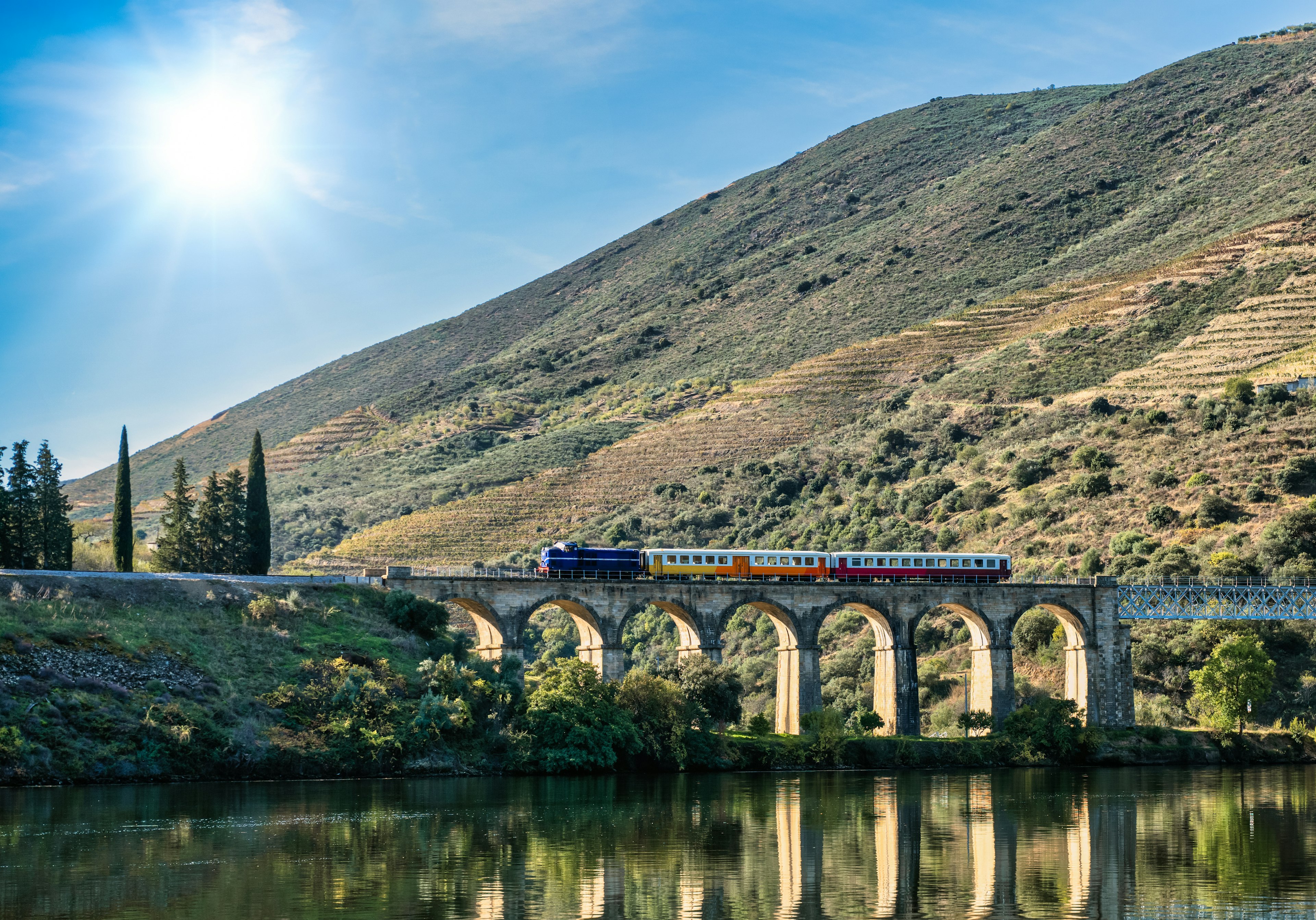 A train with four passenger cars crosses a viaduct bridge in a river valley, with terraced vineyards on a hillside slope