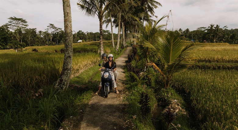 1449308888
Couple driving a motorbike between fields with palm trees
