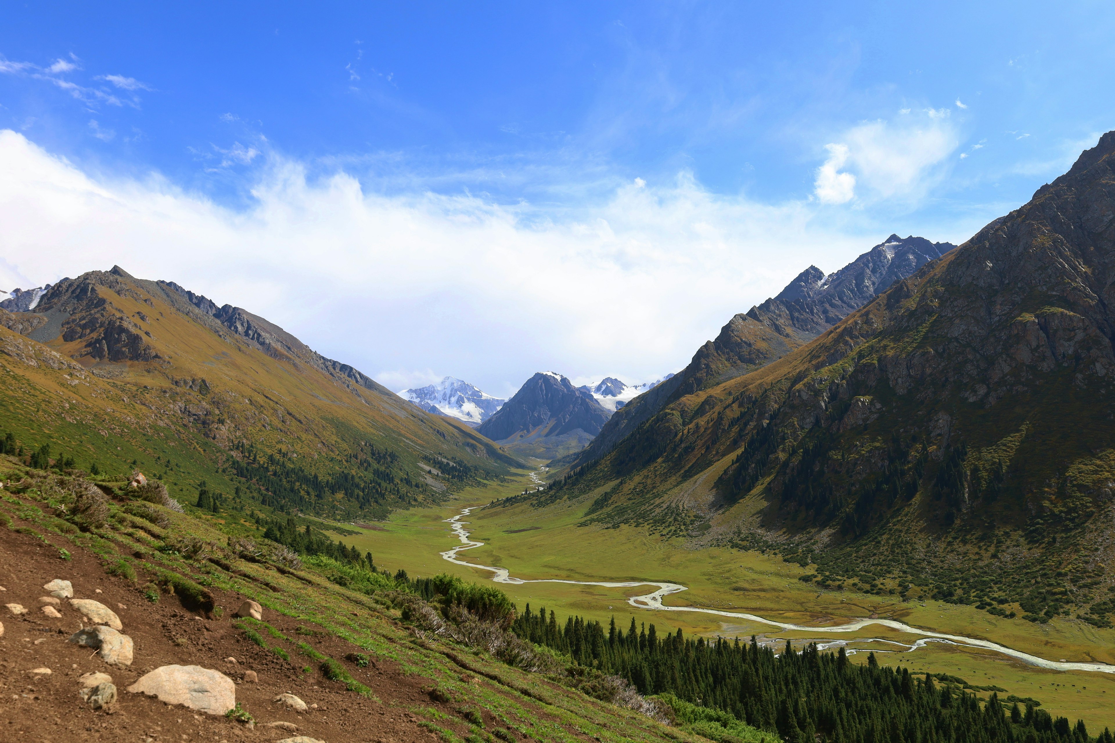 A wide shot of a small river running through a green mountain valley surrounded by dramatic tree-covered slopes and snow-covered peaks in the distance