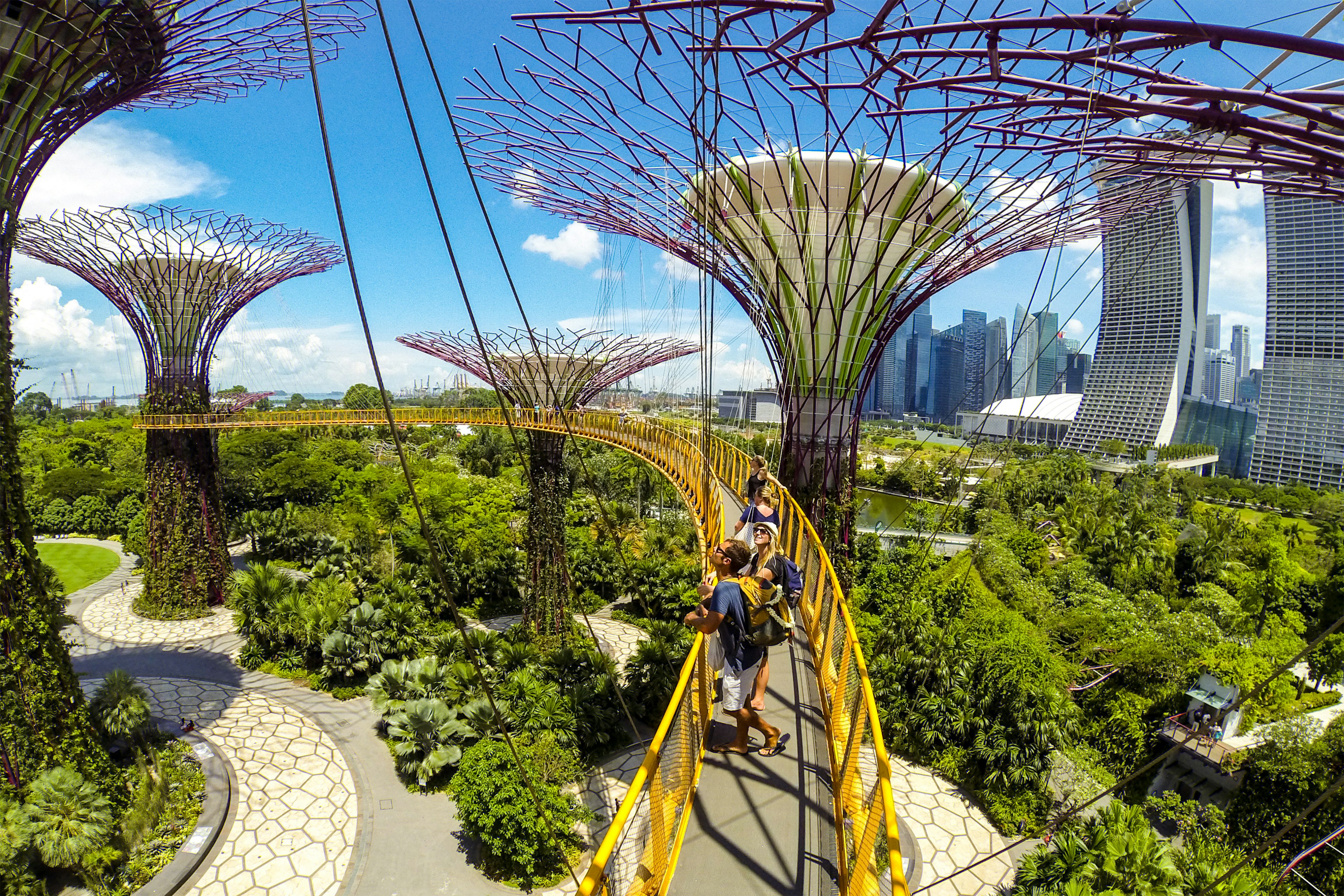 People follow a walkway above some gardens in a city with large tree-like sculptures overhead