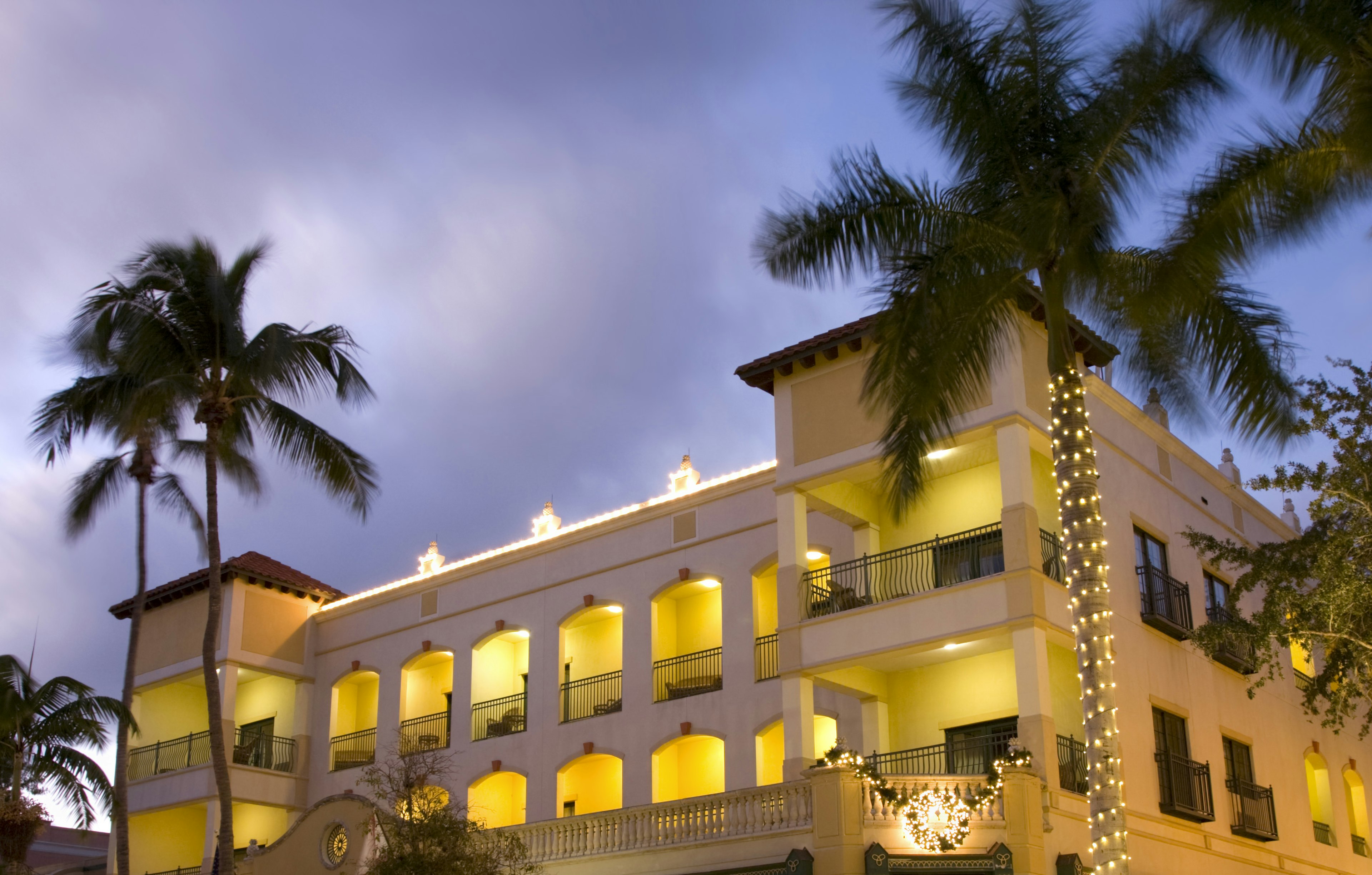 Christmas lights decorate a palm tree outside a luxury hotel in Naples, Florida in Winter