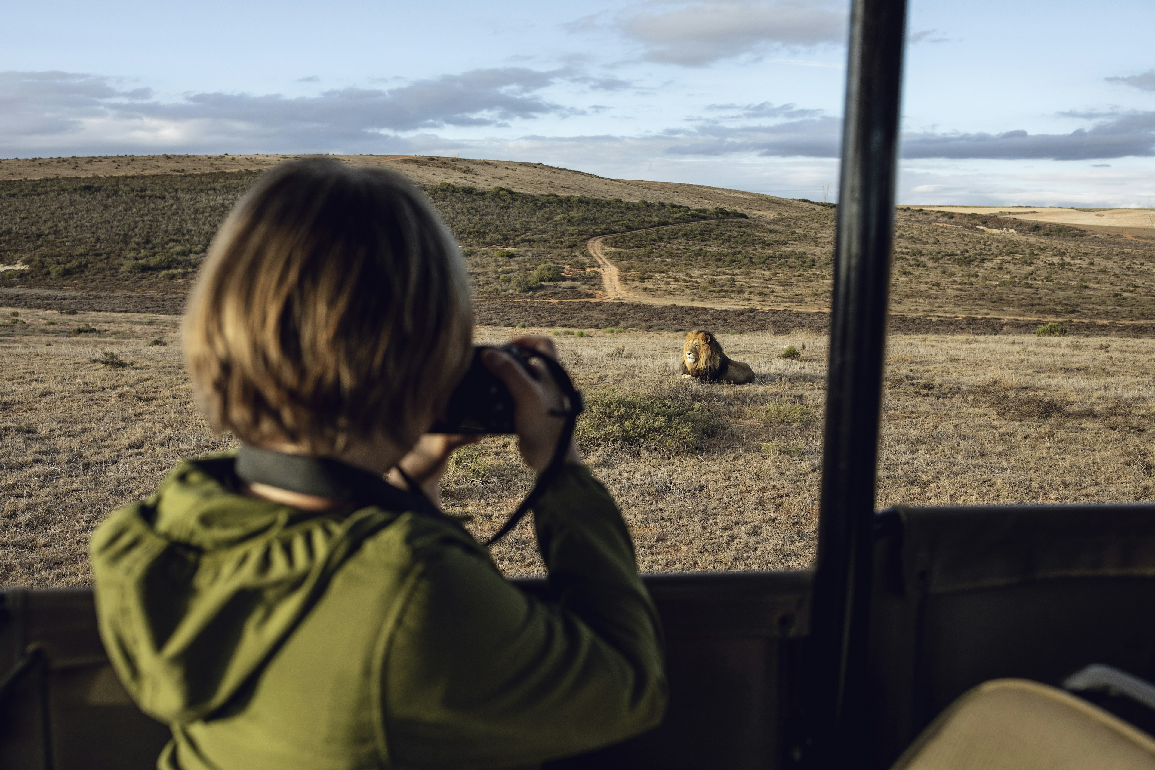 A young girl photographing a lion at Inverdoorn game Reserve in Breede River DC.