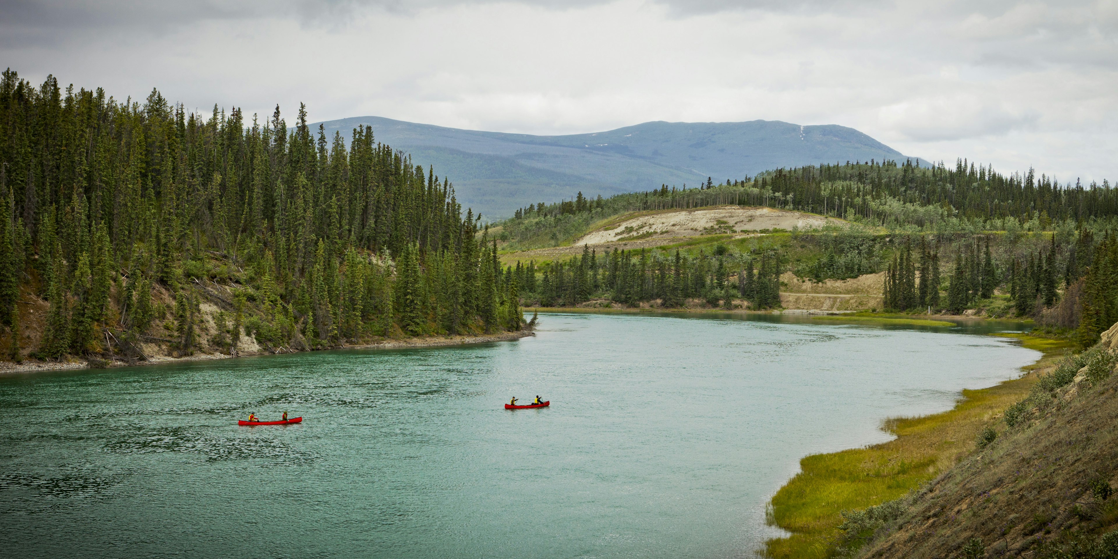 Shot from high on the Yukon River's bank, two canoes are seen navigating a large bend in the river; both banks are covered in stands of trees, with rolling hills in the distance.