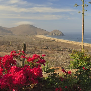 The coast of Baja California Sur, as seen from a hilltop near Todos Santos.
188089000
baja california sur, beach, blue sky, cactus, clouds, coast, coastline, color image, day, distance, flowers, hills, hilltop, horizon, horizontal, landscape, mexico, mountains, no people, ocean, outdoors, plant, red, sand, scenic, shore, todos santos, tree, view, water, waterfront, wide angle, No People, Hill, Waterfront, Horizontal, Plant, Cloud - Sky, Wide Angle, Horizon Over Water, Scenics - Nature, Mexico, Sky, Outdoors, Cactus, Todos Santos, Blue, Flower, Landscape - Scenery, Pacific Ocean, Horizon, Mountain Range, Shore, Position, Day, Water, Sea, Mountain, Baja California Sur, Coastline, Photography, Water's Edge, Color Image, Red, Panoramic, View, Sand, Landscape, Tree, Beach