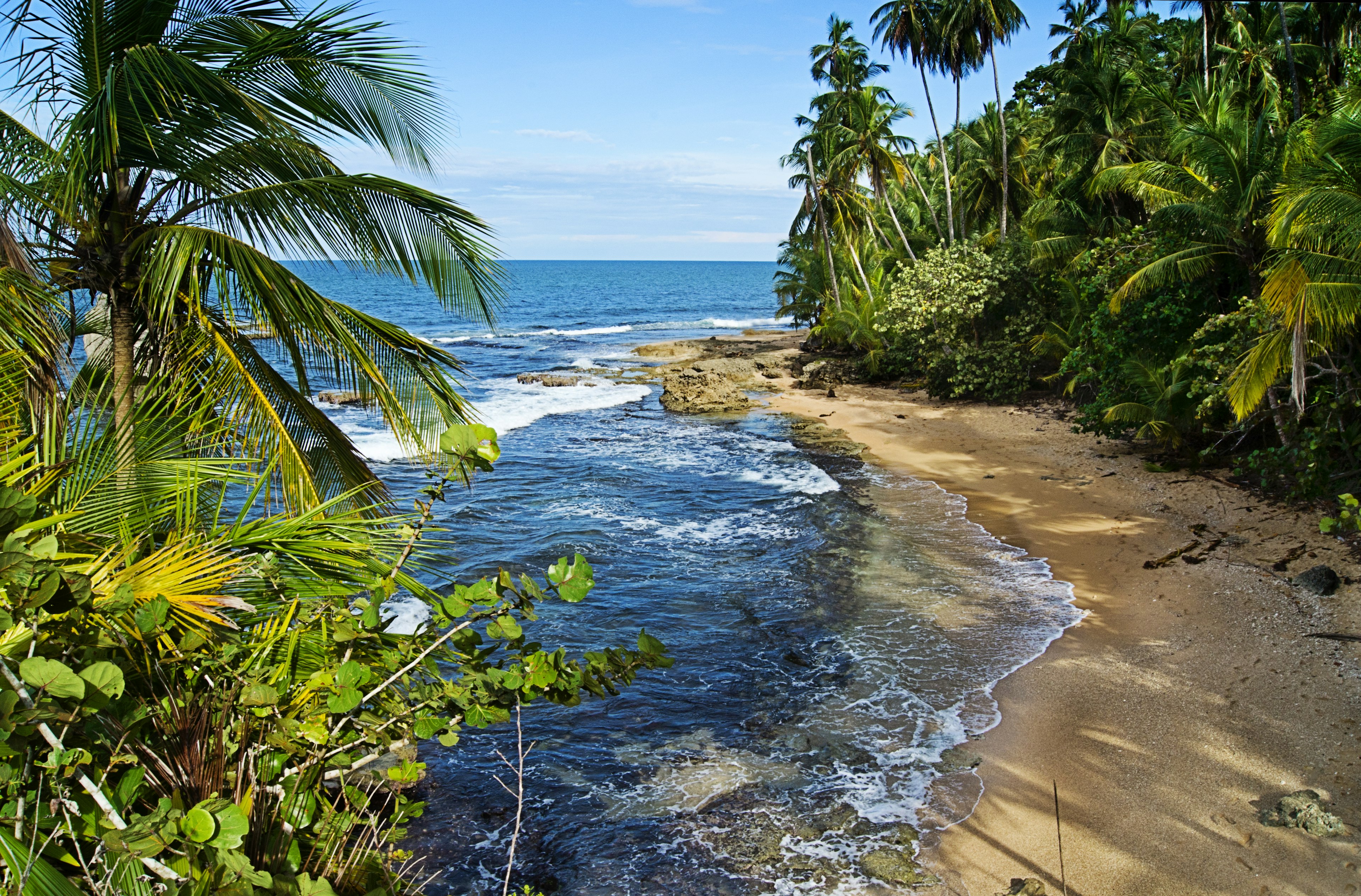 A remote sandy beach backed by jungle