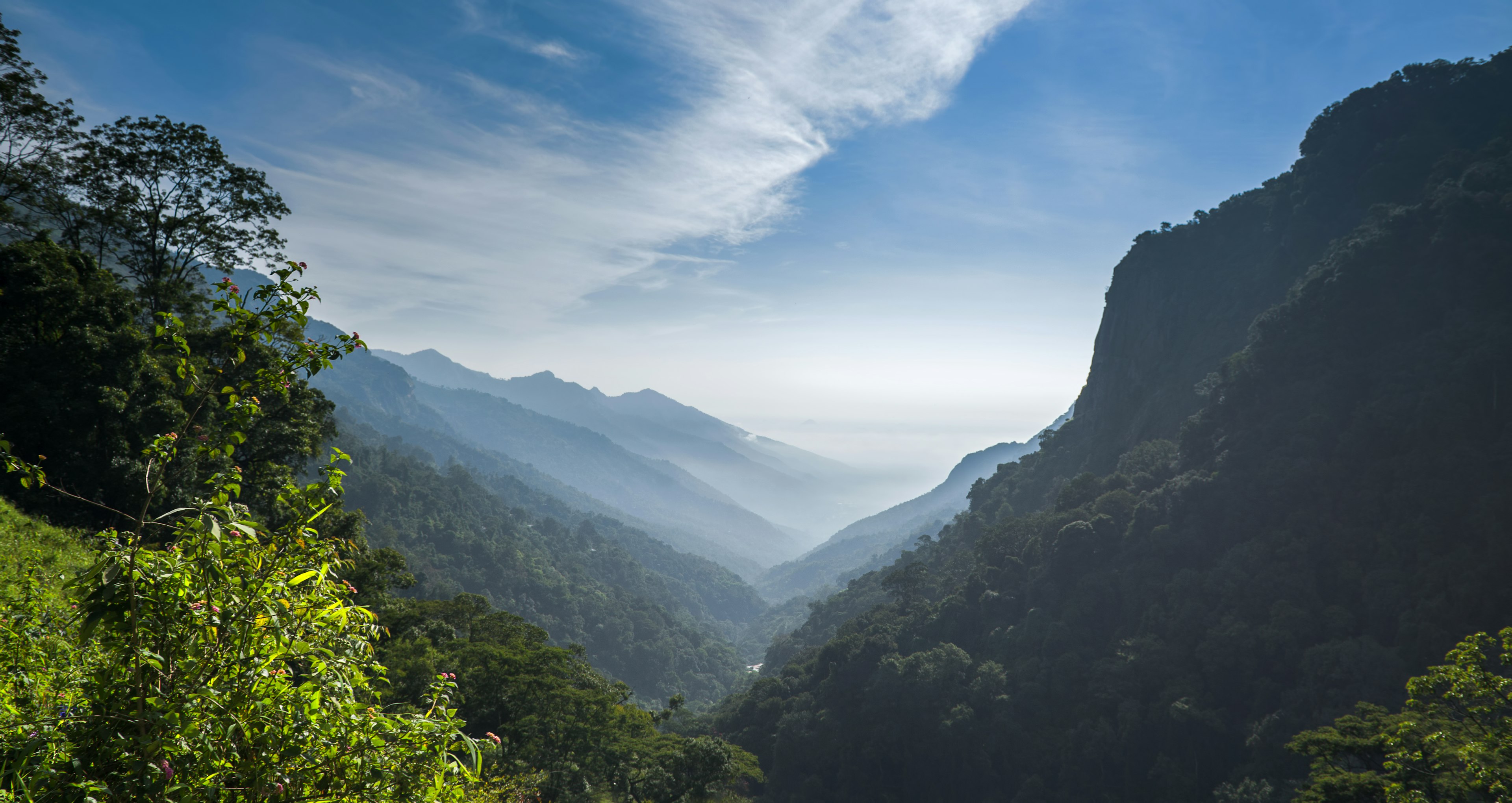 A misty valley in a tree-filled Nilgiris mountain range of Tamil Nadu, on the way to Ooty/Ootacamund from Coimbatore.