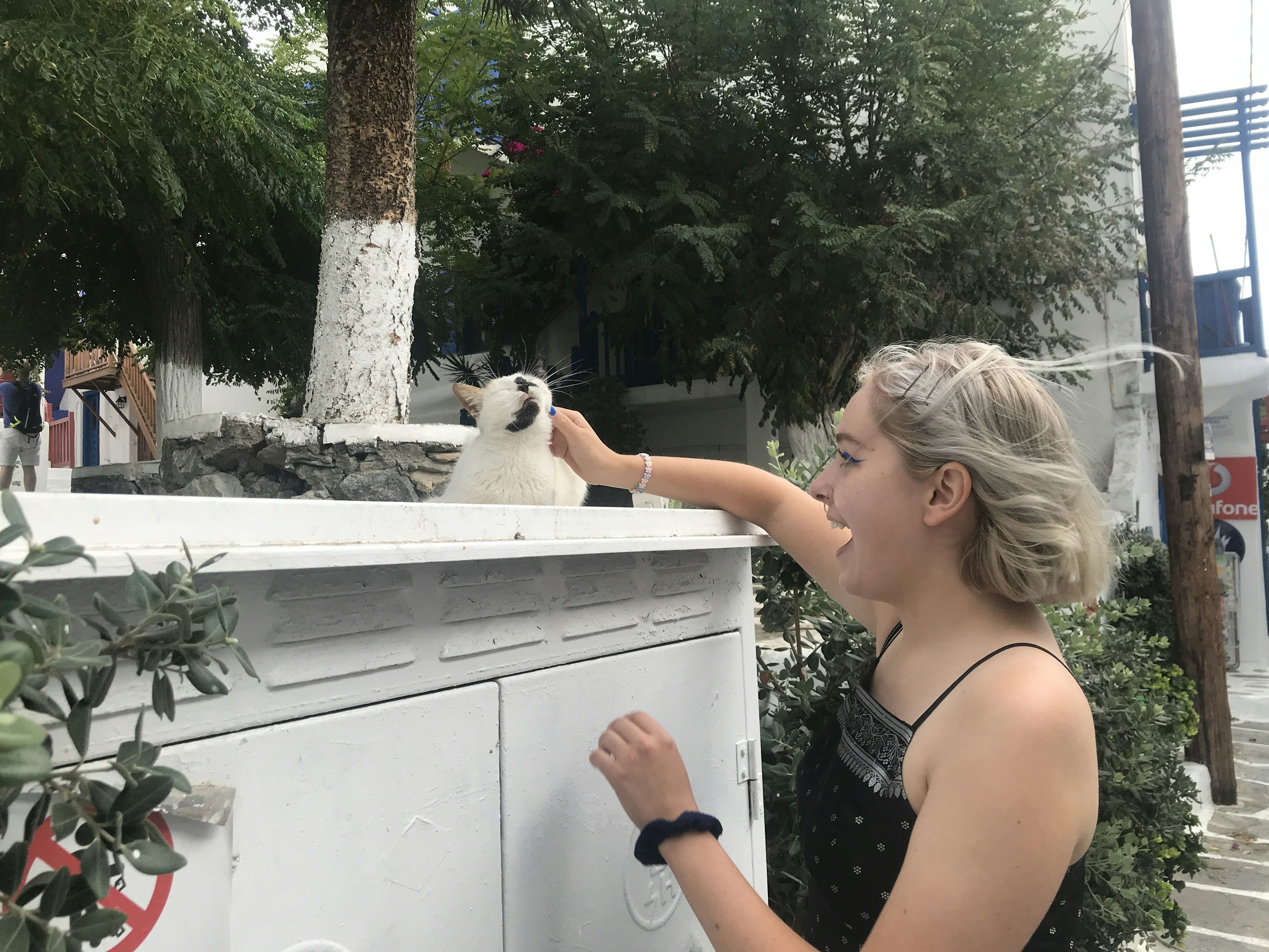 A tourist stops to stroke a cat