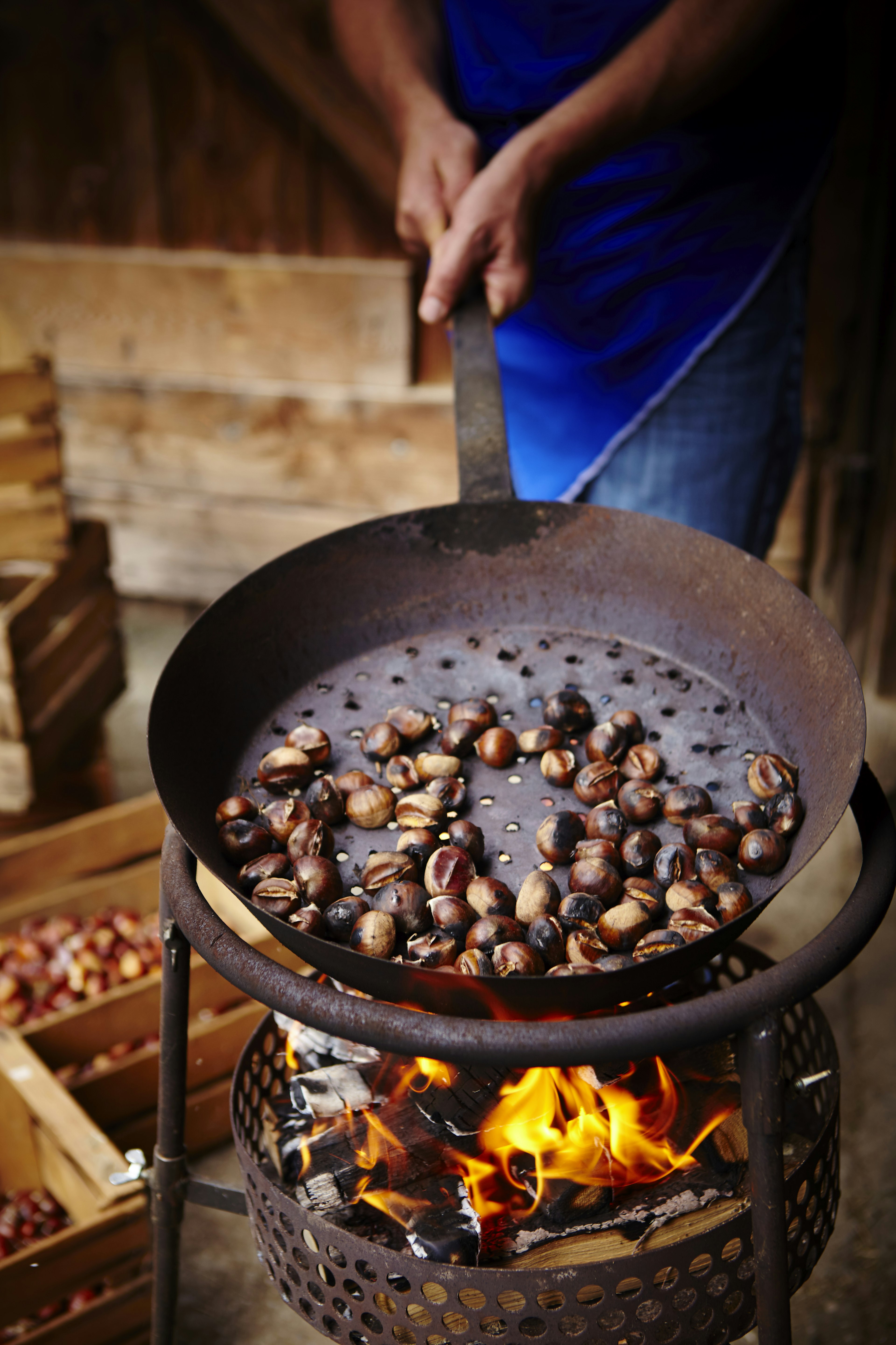 Roasting chestnuts in cast iron pan over flaming brazier.