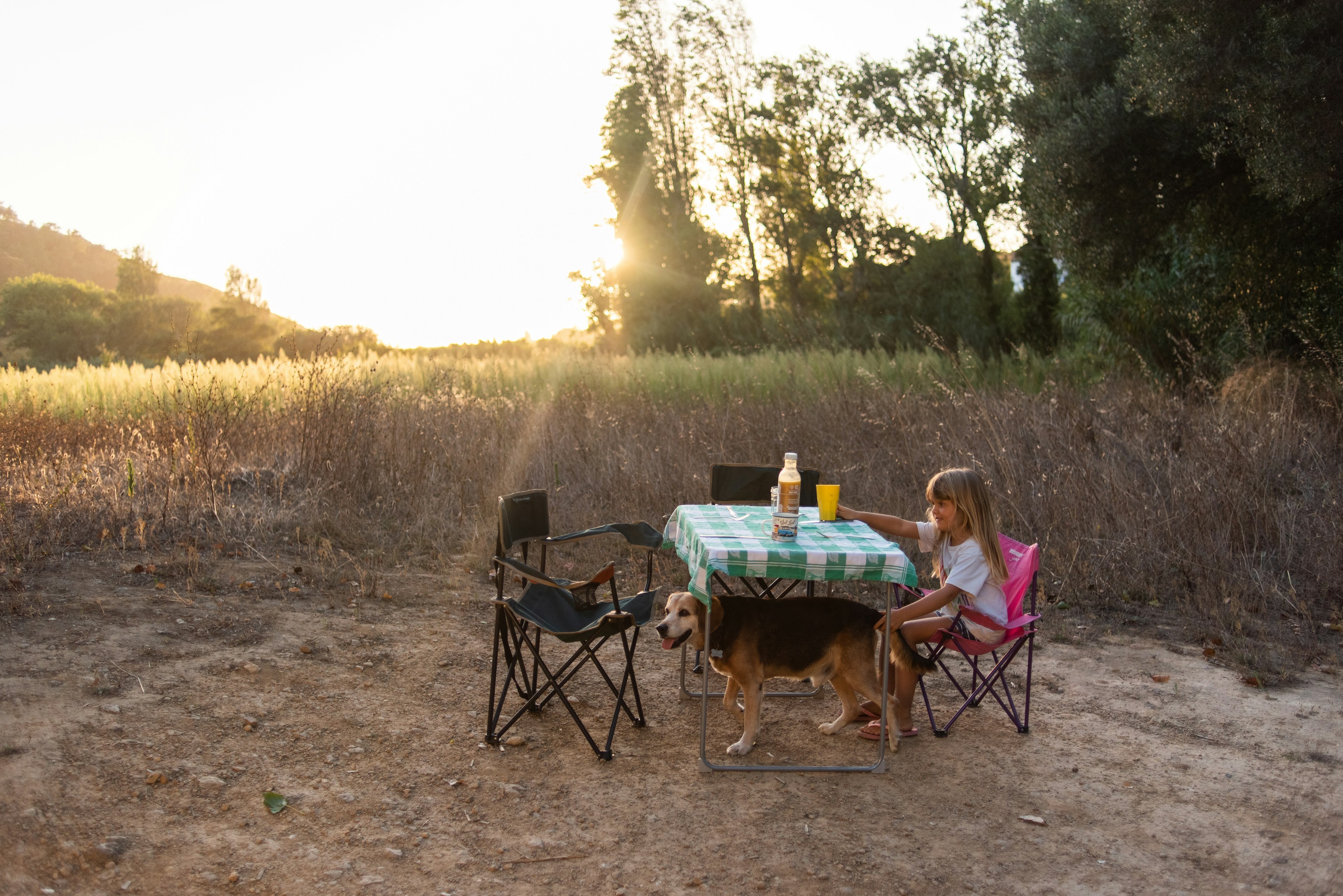 A girl and her dog set up for a picnic.