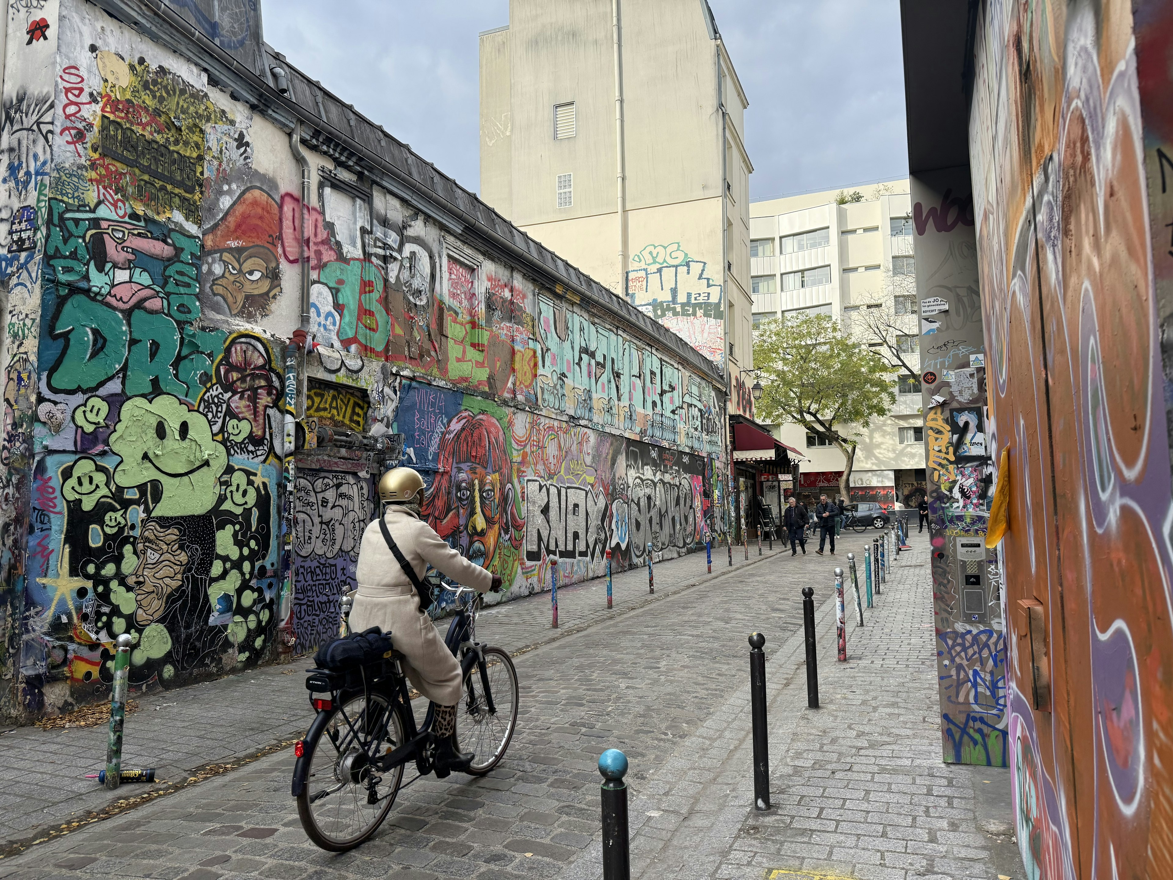 A cyclist in a back lane of Belleville that's full of street art