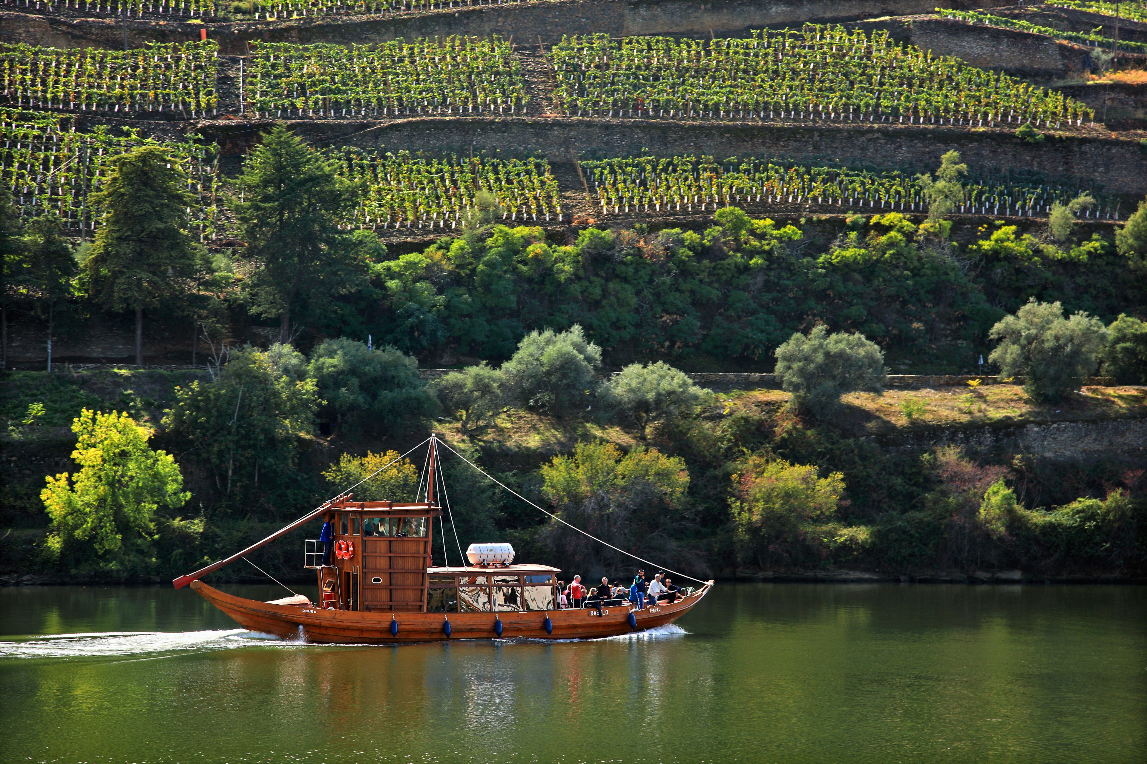 A traditional wooden boat called a rabelo cruises on the river with trees and terraced vineyards rising along the slopes leading up from the riverbank