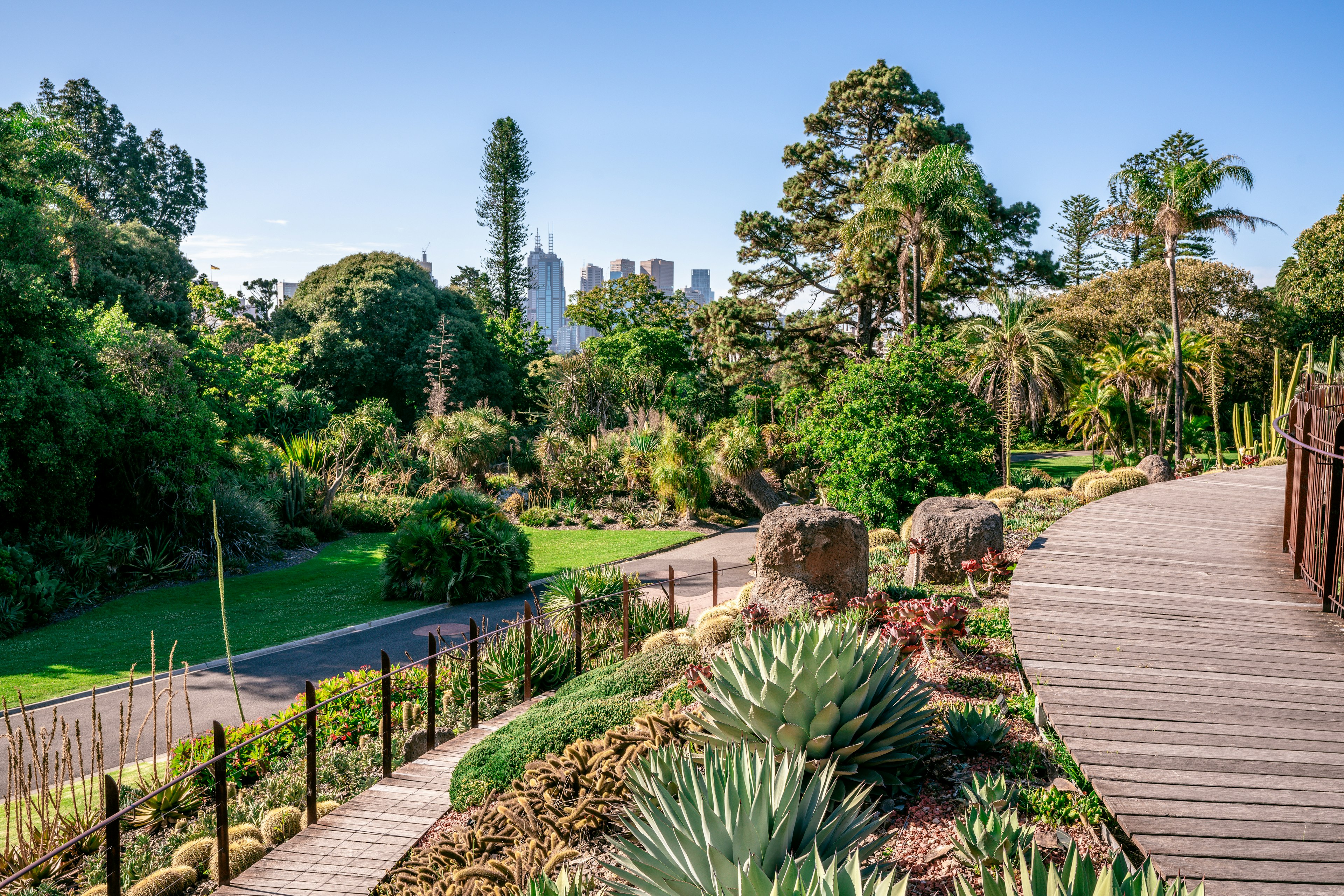 Royal Botanical gardens scenic view in Melbourne, Victoria, Australia .