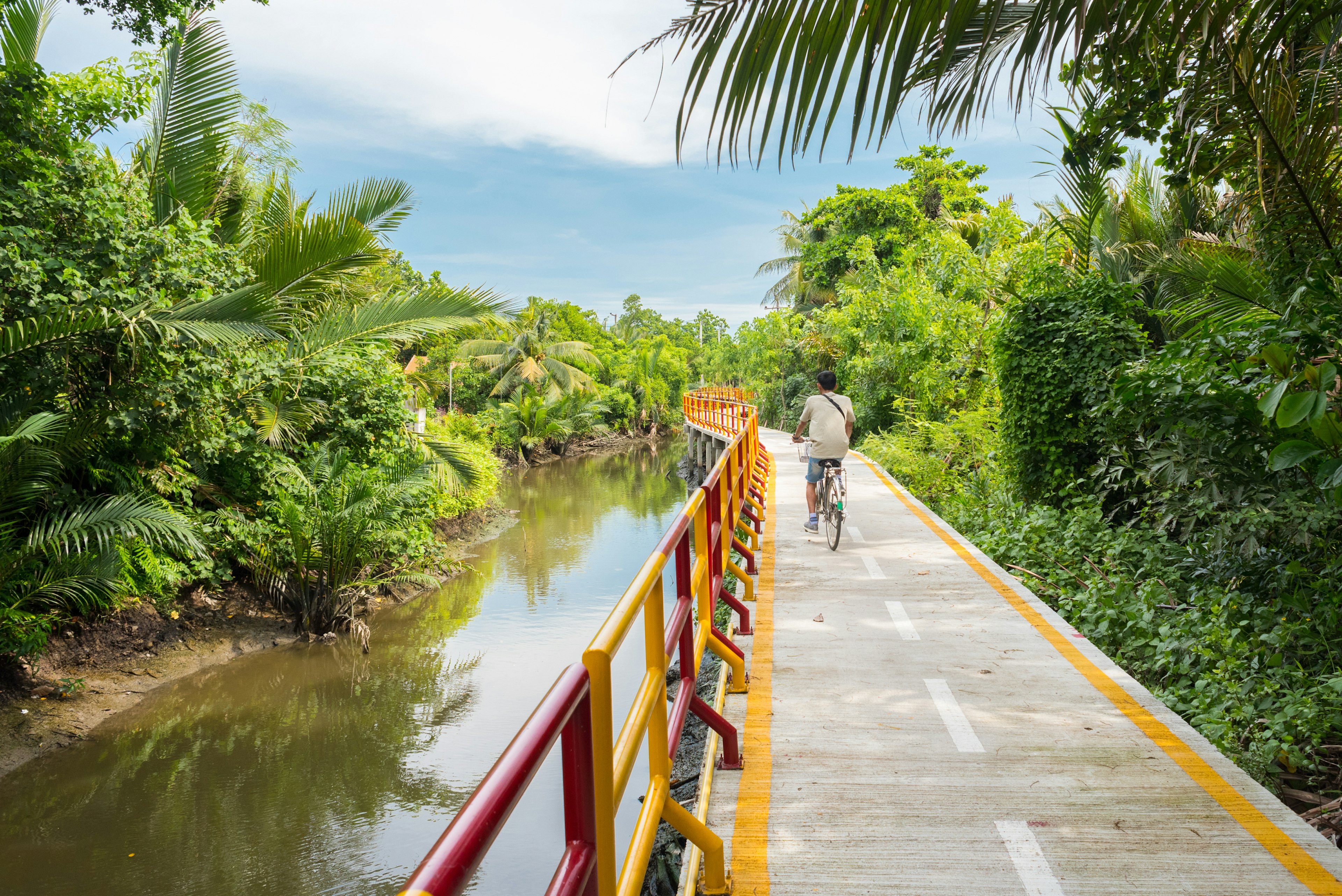 A young man cycles along a catwalk over a murky body of water surrounded by lush tropical vegetation