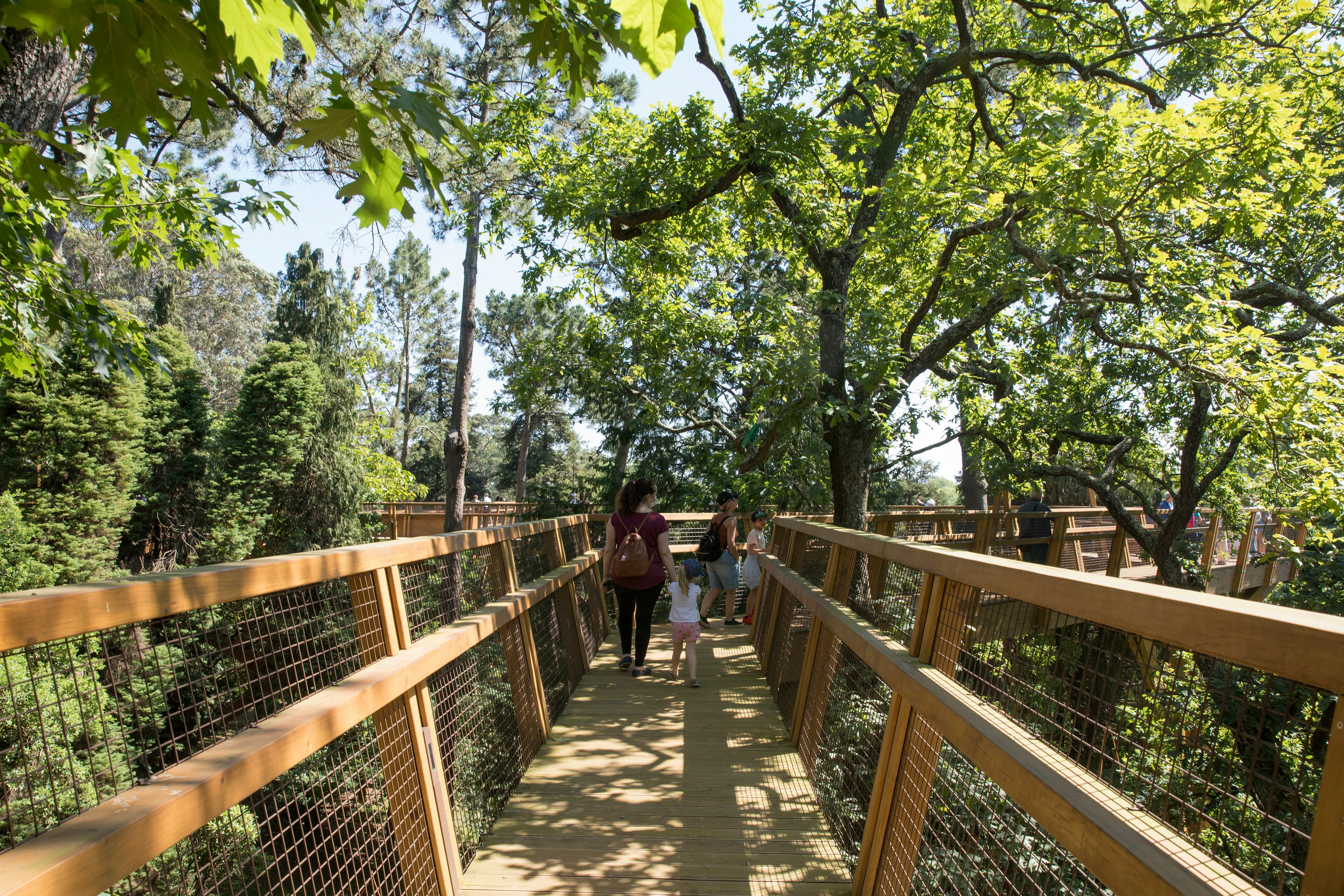 People visiting the Serralves Park Treetop Walk in Porto